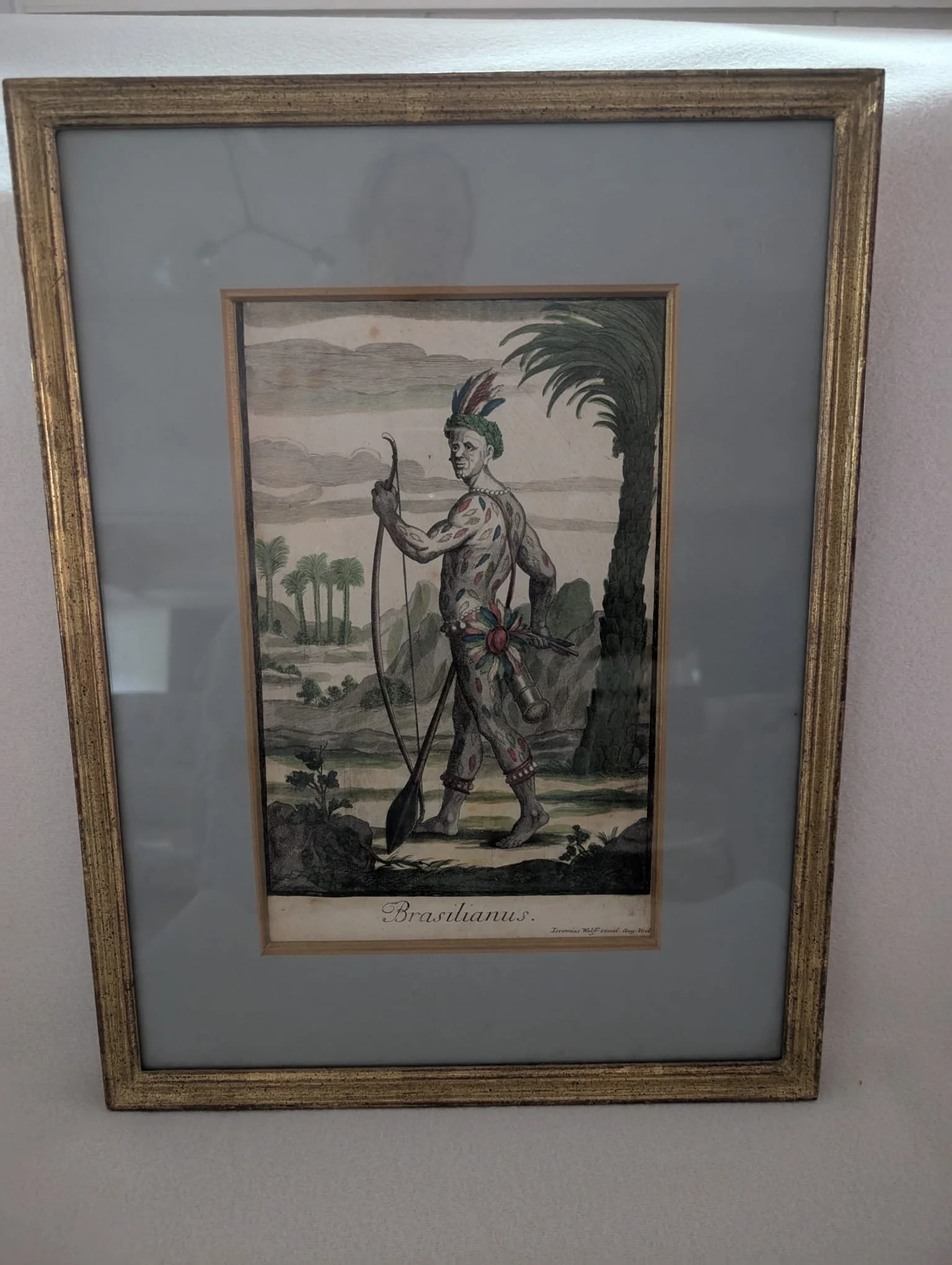 Antique 18thC Jeremias Wolff Hand-Colored Etching Brasilianus