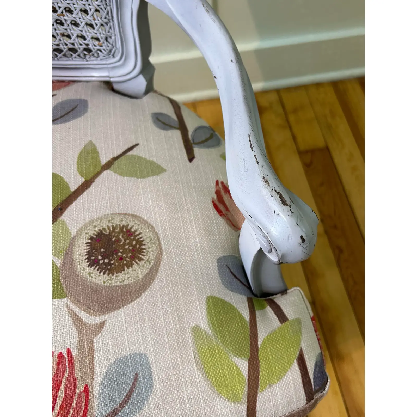 antique-painted-french-cane-chairs-with-custom-removable-cushions-set-of-2-4292 (1).jpg