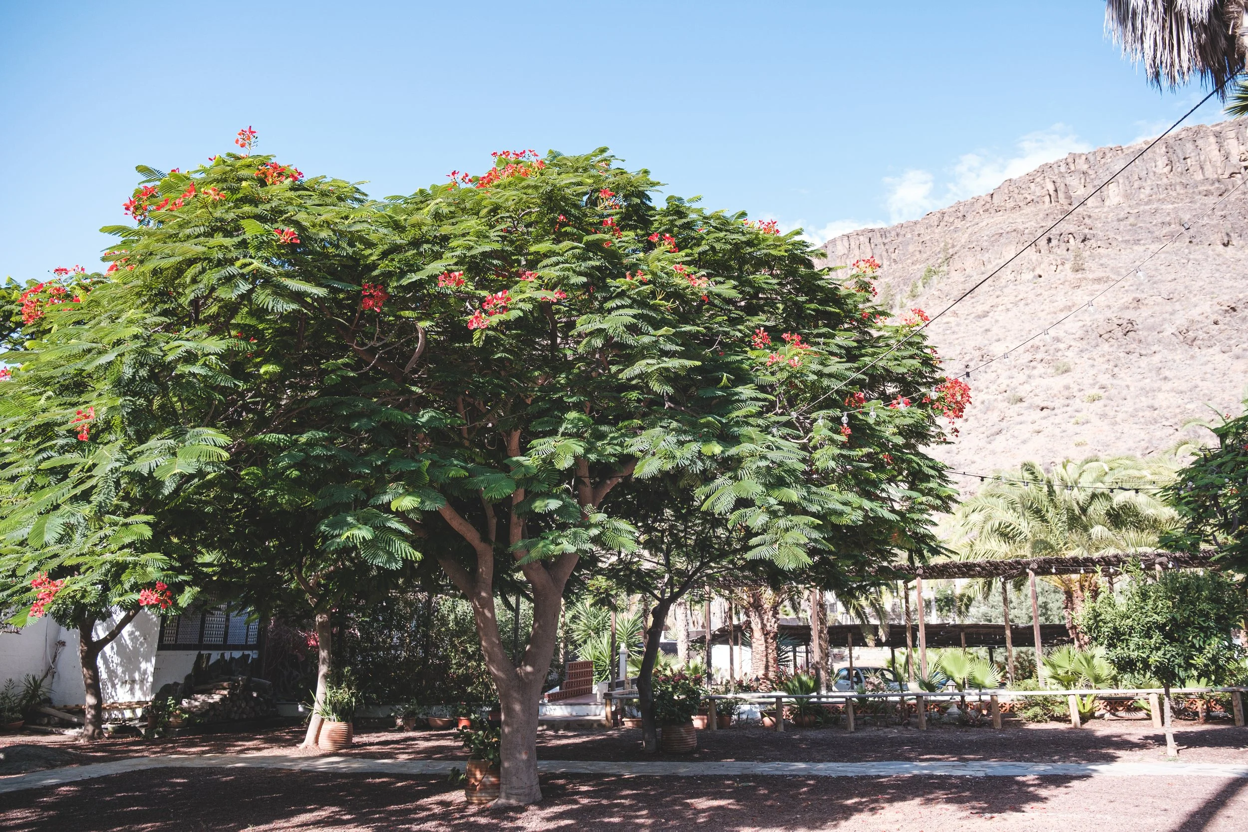 Los tanquillos-11.jpg