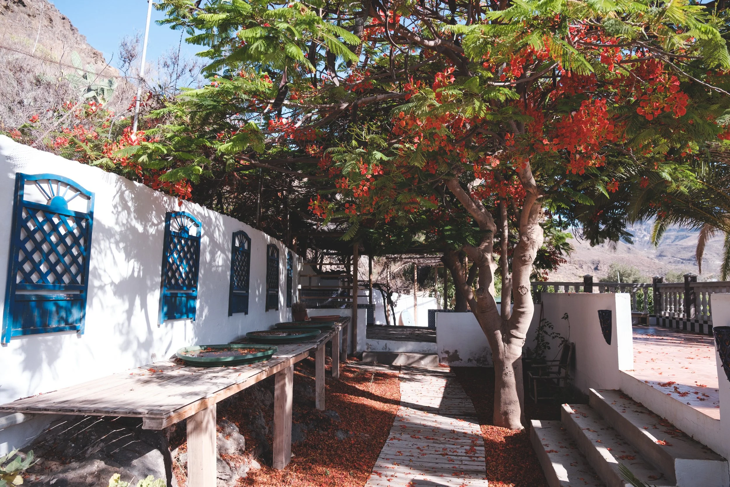 Los tanquillos-37.jpg