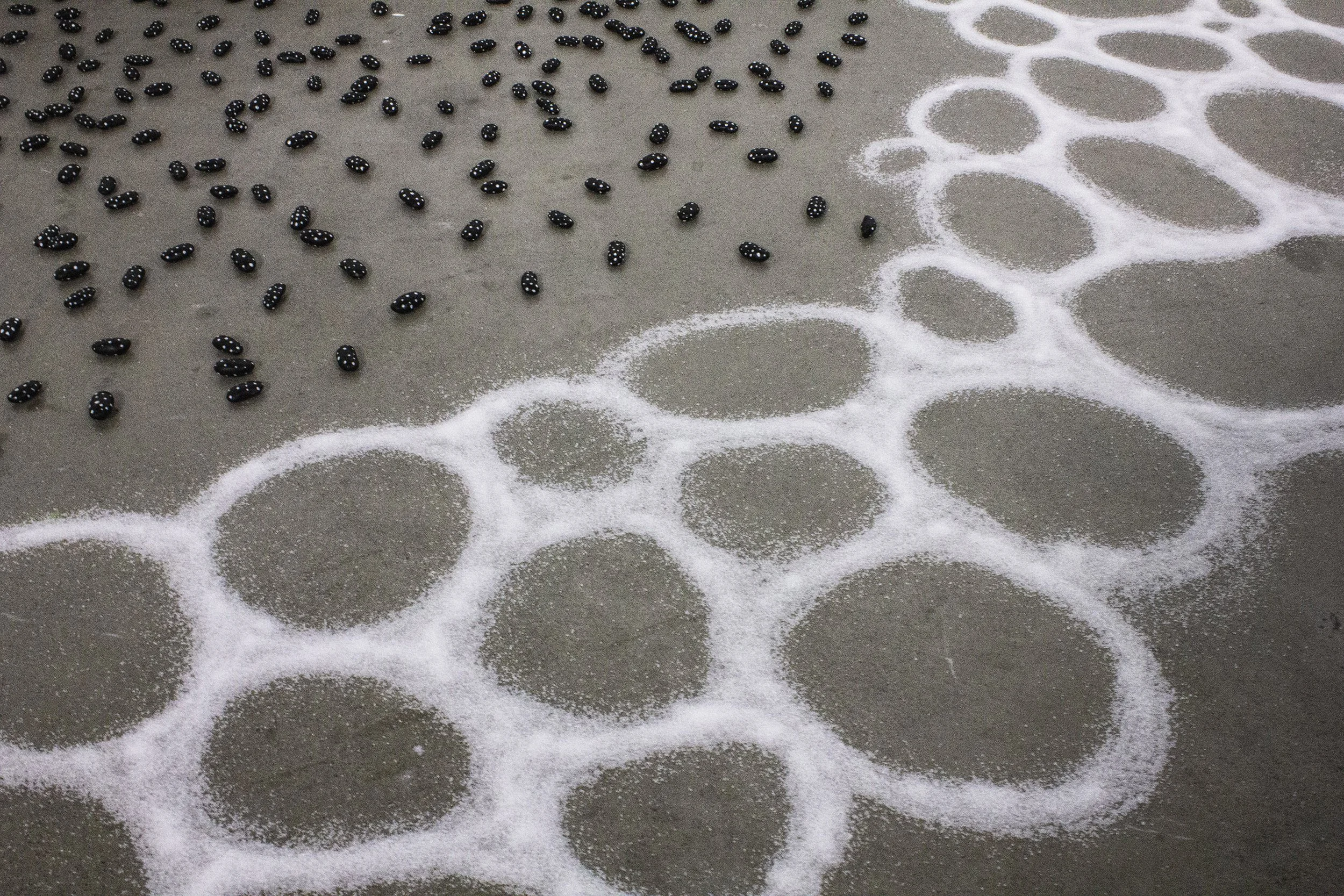 From Micro to Macro: Many Worlds