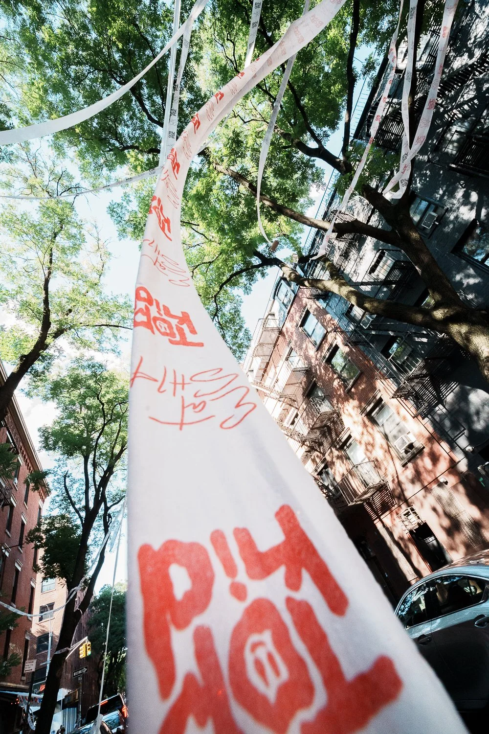 _DSC8978.jpg
