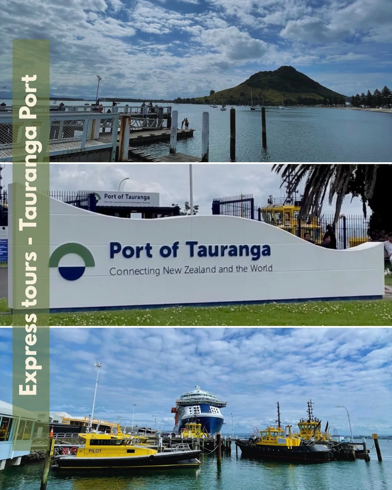 Express Tours &ndash; Tauranga 🚐
Smoother, shorter adventures for those on limited time, 
perfect for: cruisers, quick visits, or last-minute plans. 
The perfect escape to bays, beaches and breezy vibes☀️🌴

#joyridernz #taurangaport #cruiseexcursio