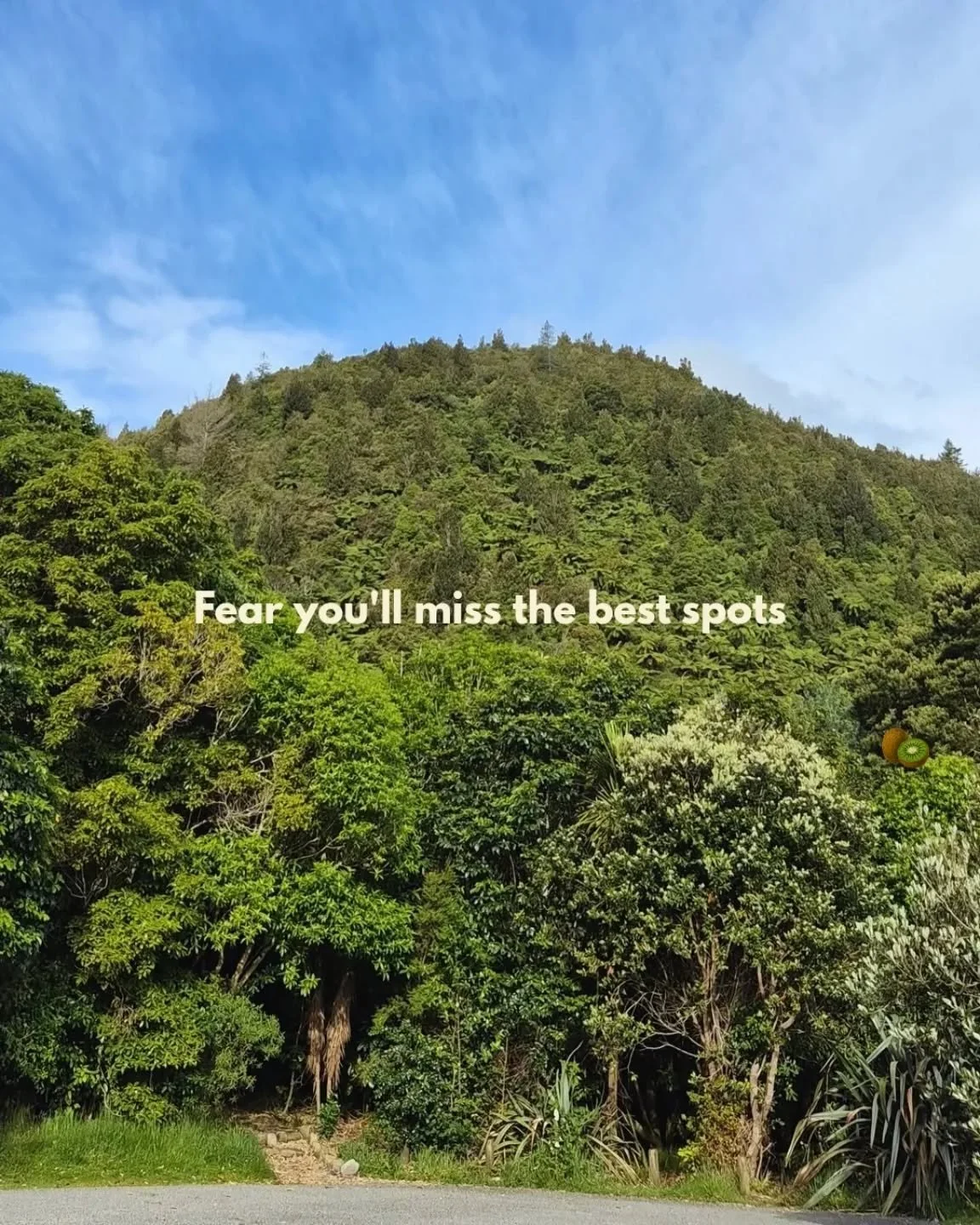 Don&rsquo;t worry &mdash; we&rsquo;ve got you covered. 🌿
Some things are just too good to miss&hellip;

Dropping a full 8hr itinerary soon, stay tuned to see were we'll take you.. 

Also, can you spot the kiwi? 👀 level: easy

#joyridernz #exploreao