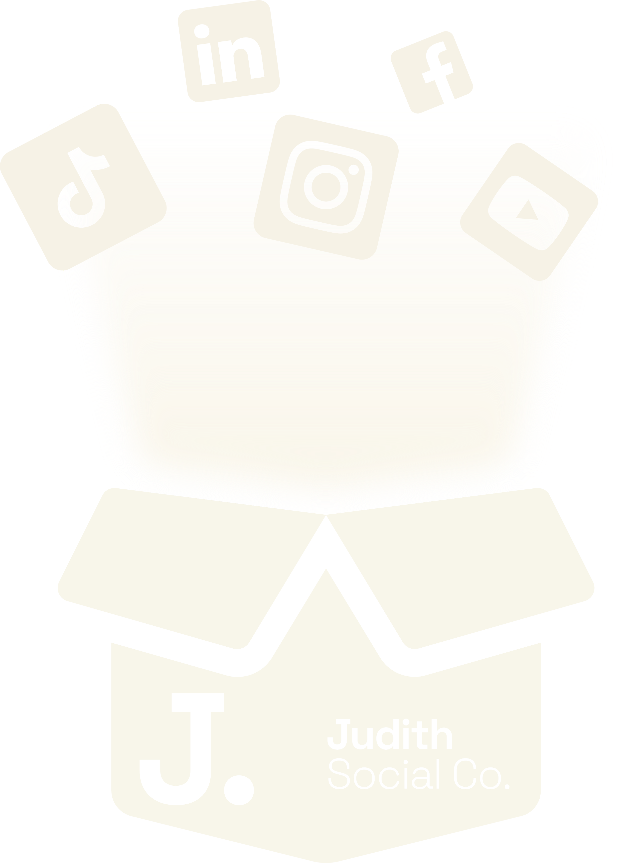 Social media icons including LinkedIn, Facebook, Instagram, and YouTube hovering above a white book with the text 'Judith Social Co.' on it.