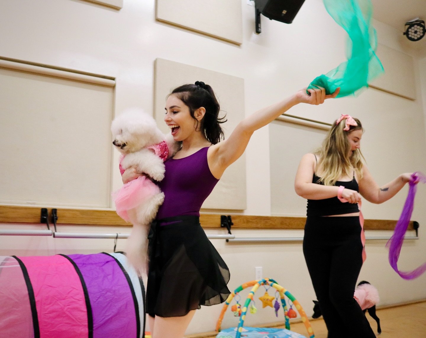 We don&rsquo;t know who smiled more, the humans or the pups!! 😅🎉

#dogsofla #dogsoflosangeles