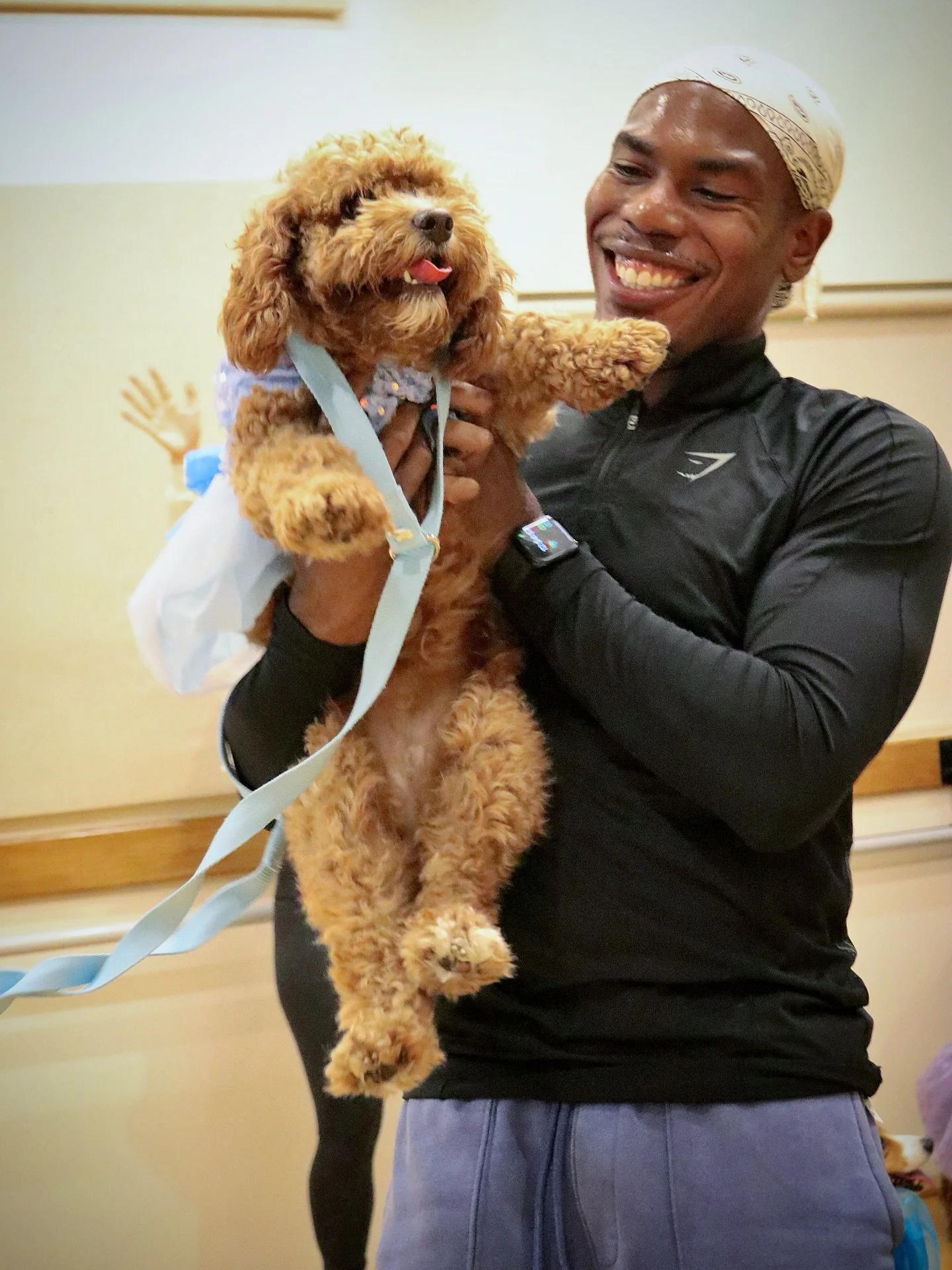 Meet Brandon and Ledi 🥰🎉 Ledi loved doing the YMCA!

#dogsofla #dogsoflosangeles