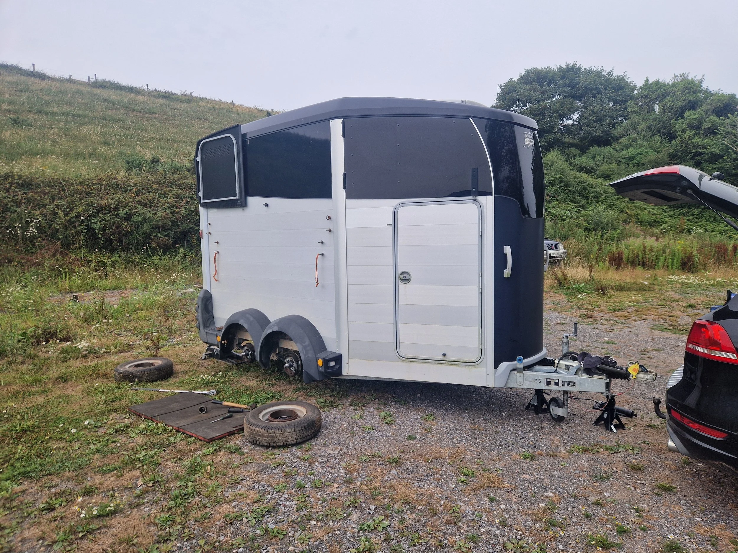 Lovely Ifor 511 service 