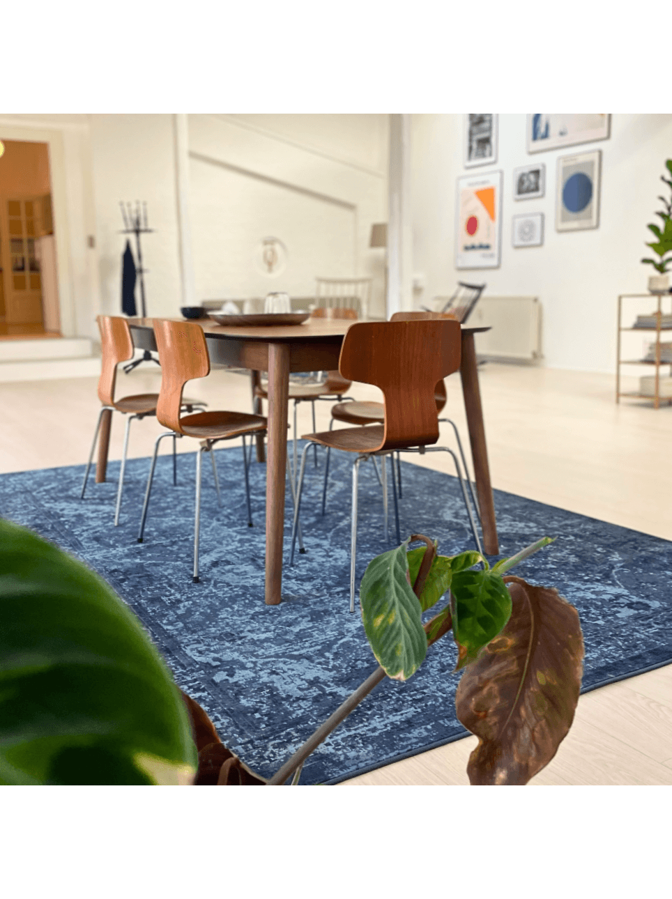 Iværksætterkontor til erhvervsvirksomhed indrettet med 60'er træmøbler.