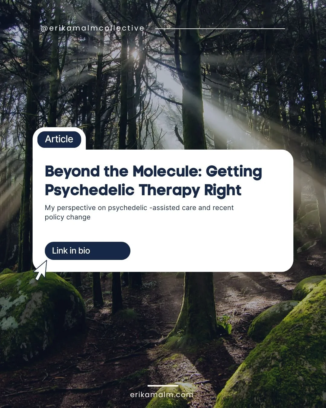Psychedelics themselves are not inherently healing, insightful, or even beneficial. They are better understood as amplifiers: of context, of expectation, of psychological material that may be constructive or destabilizing. Under the right conditions,