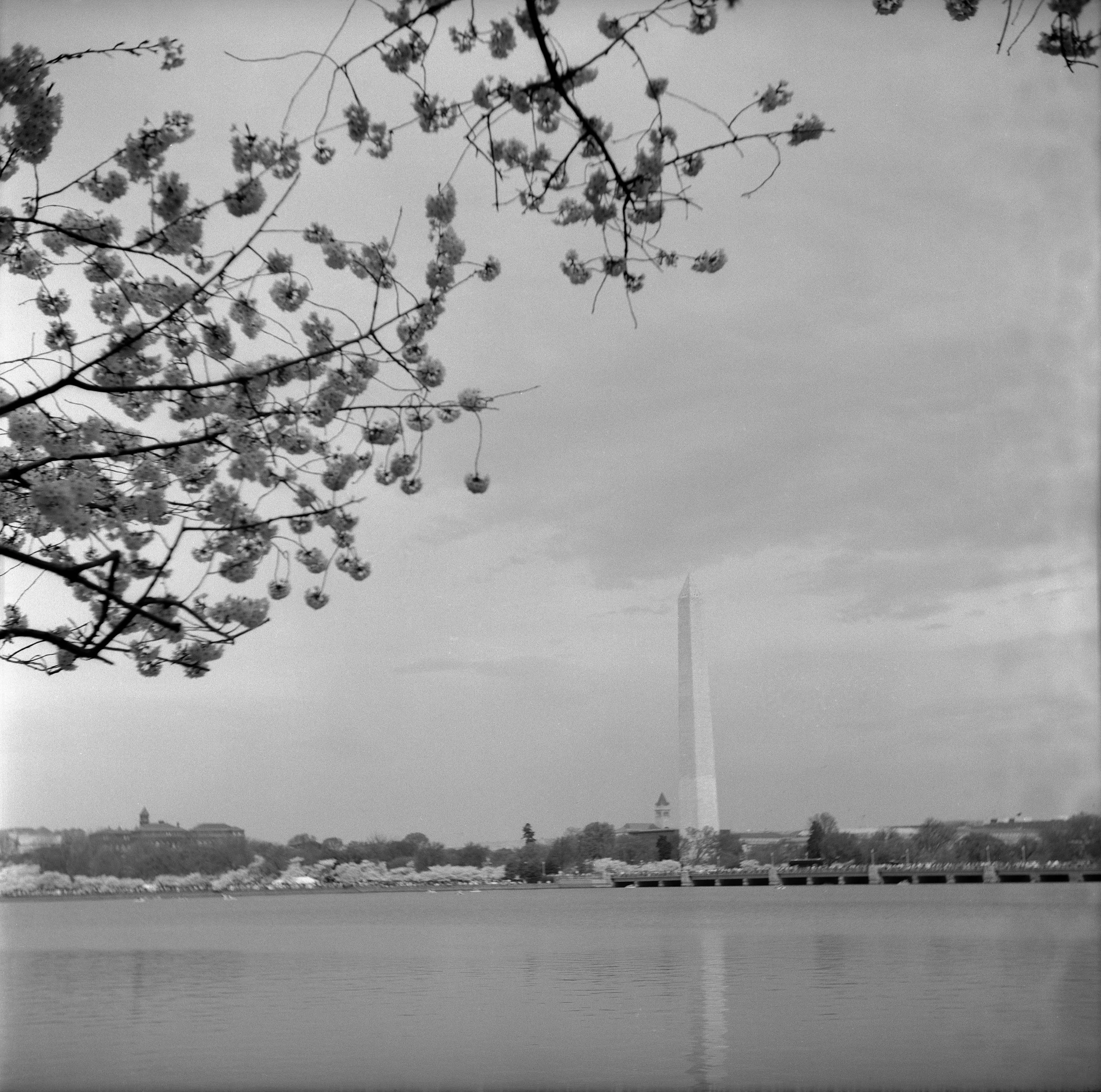 In Our Memory #3, 2025