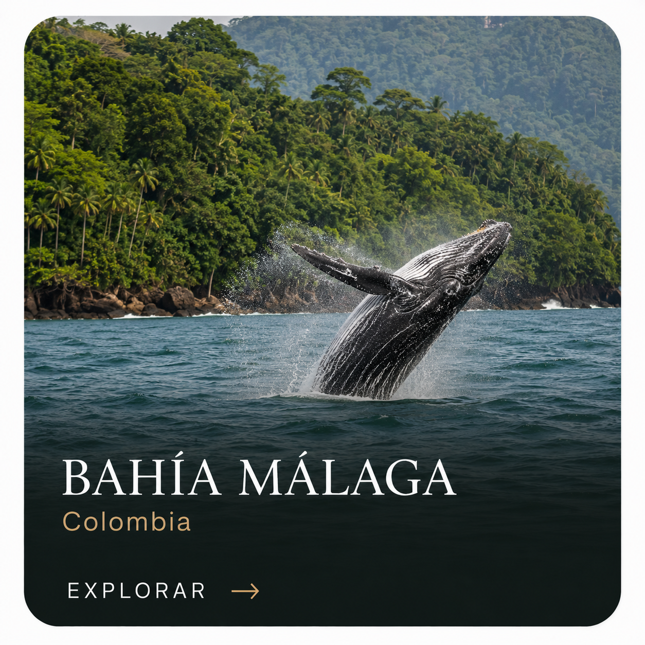 BAHIA MALAGA