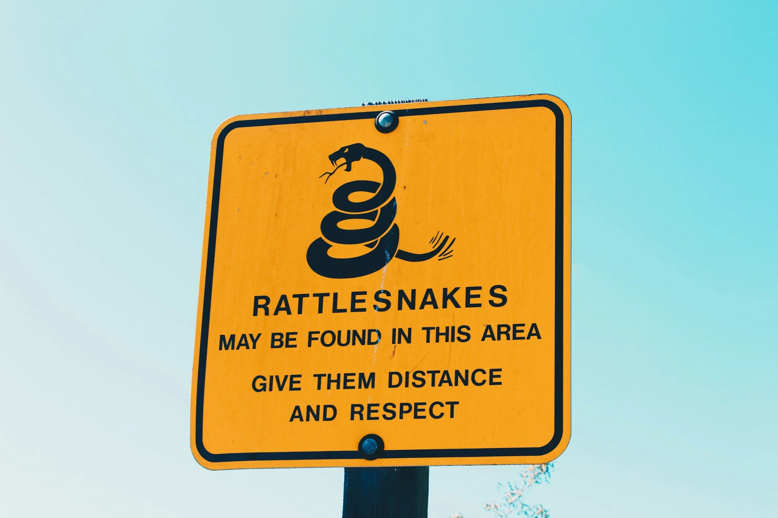 Rattlesnake warning sign