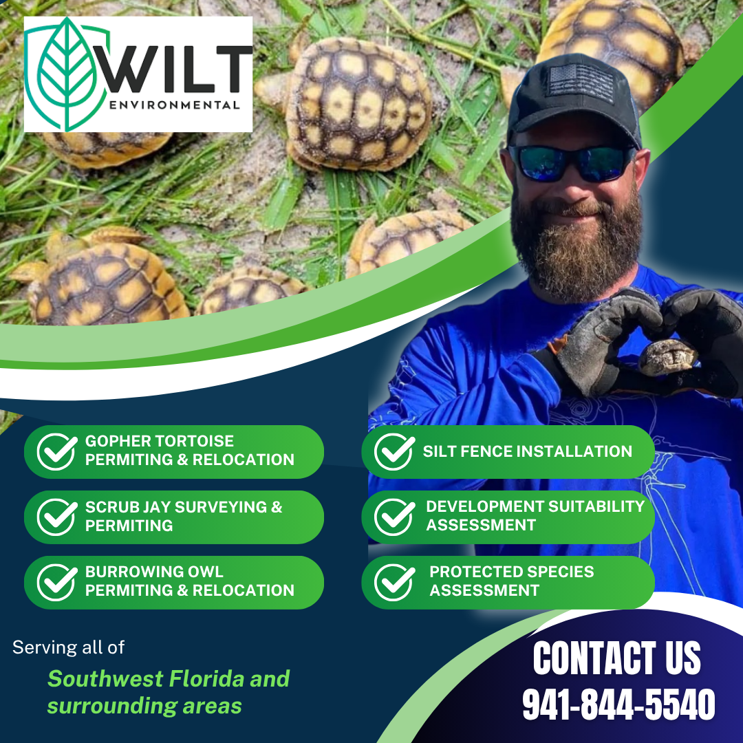 Copy of Green White And Dark Blue  Modern Environmental Consulting Services Instagram Post .png
