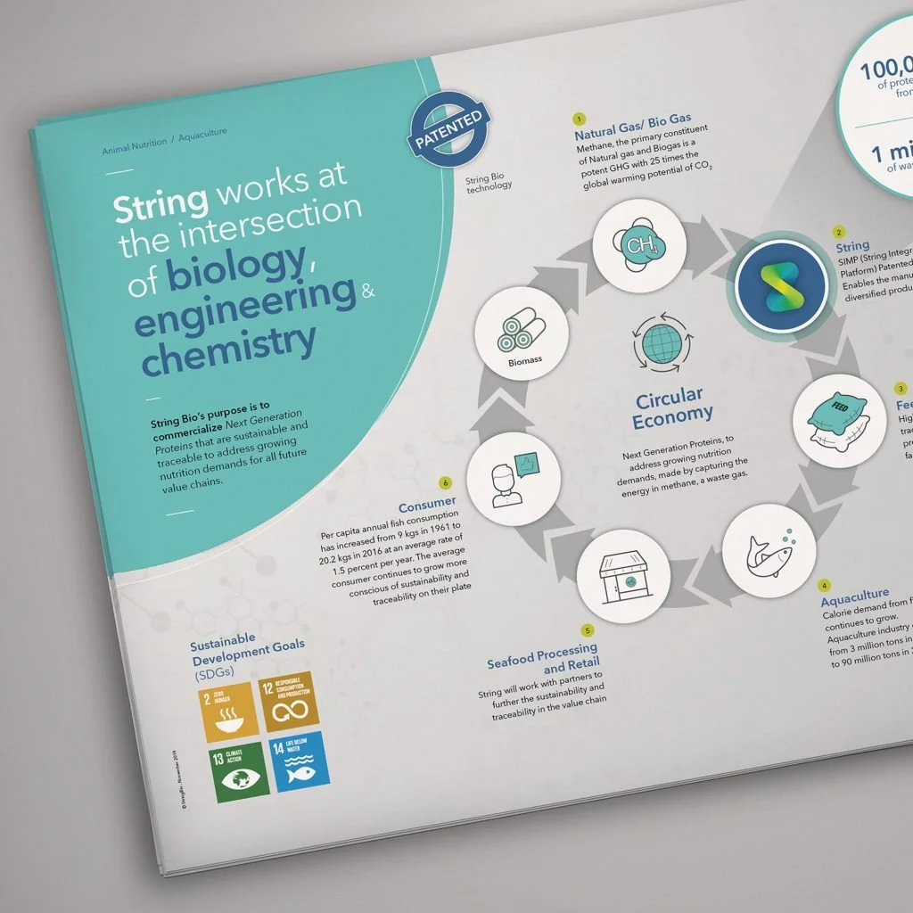 An informational graphic about String Bio, highlighting the intersection of biology, engineering, and chemistry, and illustrating the circular economy process involving biomass, bio gas, synthetic string, aquaculture, seafood processing, and retail, with icons and text explaining each step.
