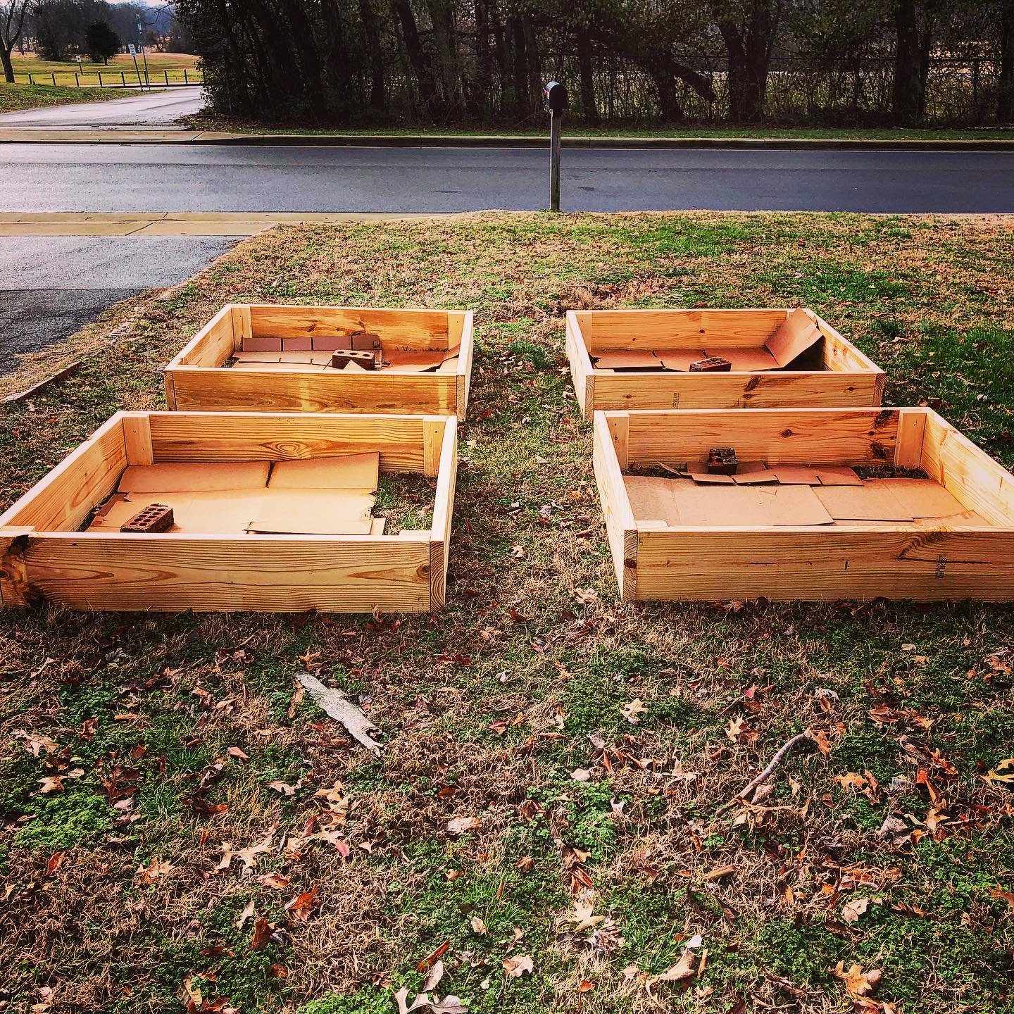 **swipe left** We started a grand experiment this year before we knew anything about a pandemic. I thought it would be fun to try to grow vegetables, and so we built these boxes and planted some seeds. And then we waited. I planted lettuce and spinac