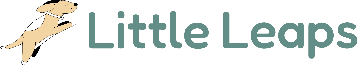 Little Leaps Child and Family Counseling