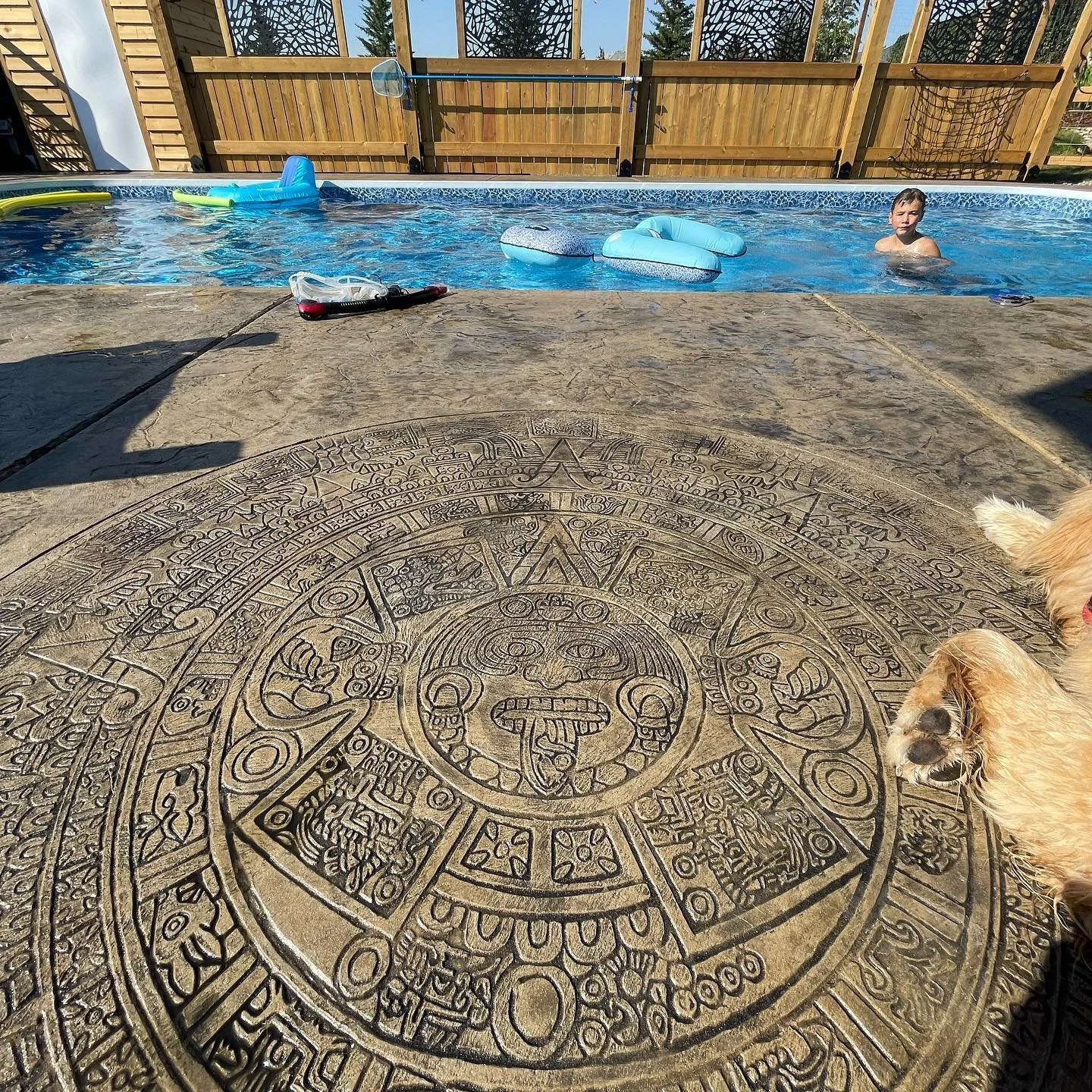 Top view of a backyard swimming pool with floating toys, a child in the pool, and a decorative stone circle on the concrete patio.