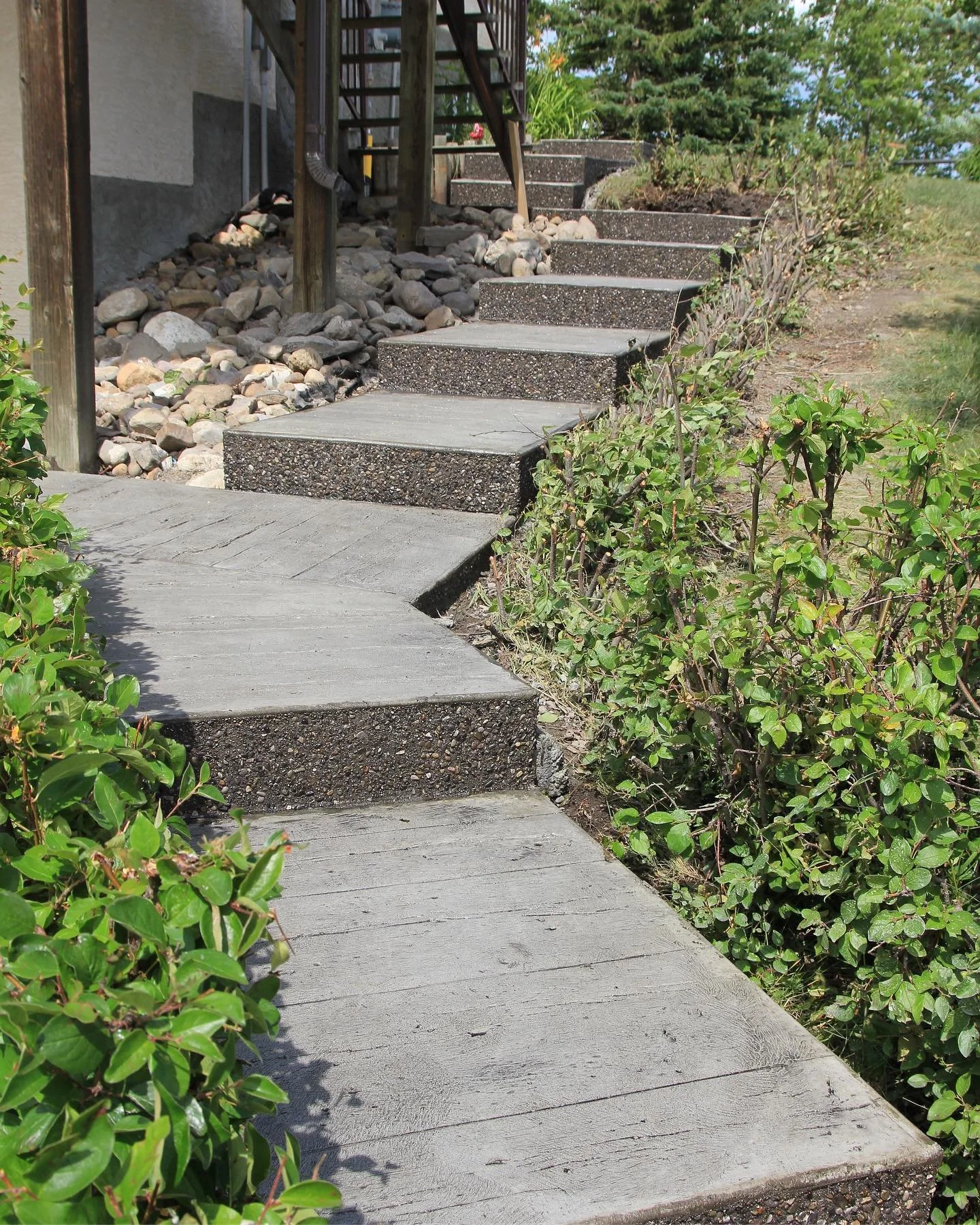 Concrete stairs leading uphill next to bushes and rocks, with a house wall and plants in the background.