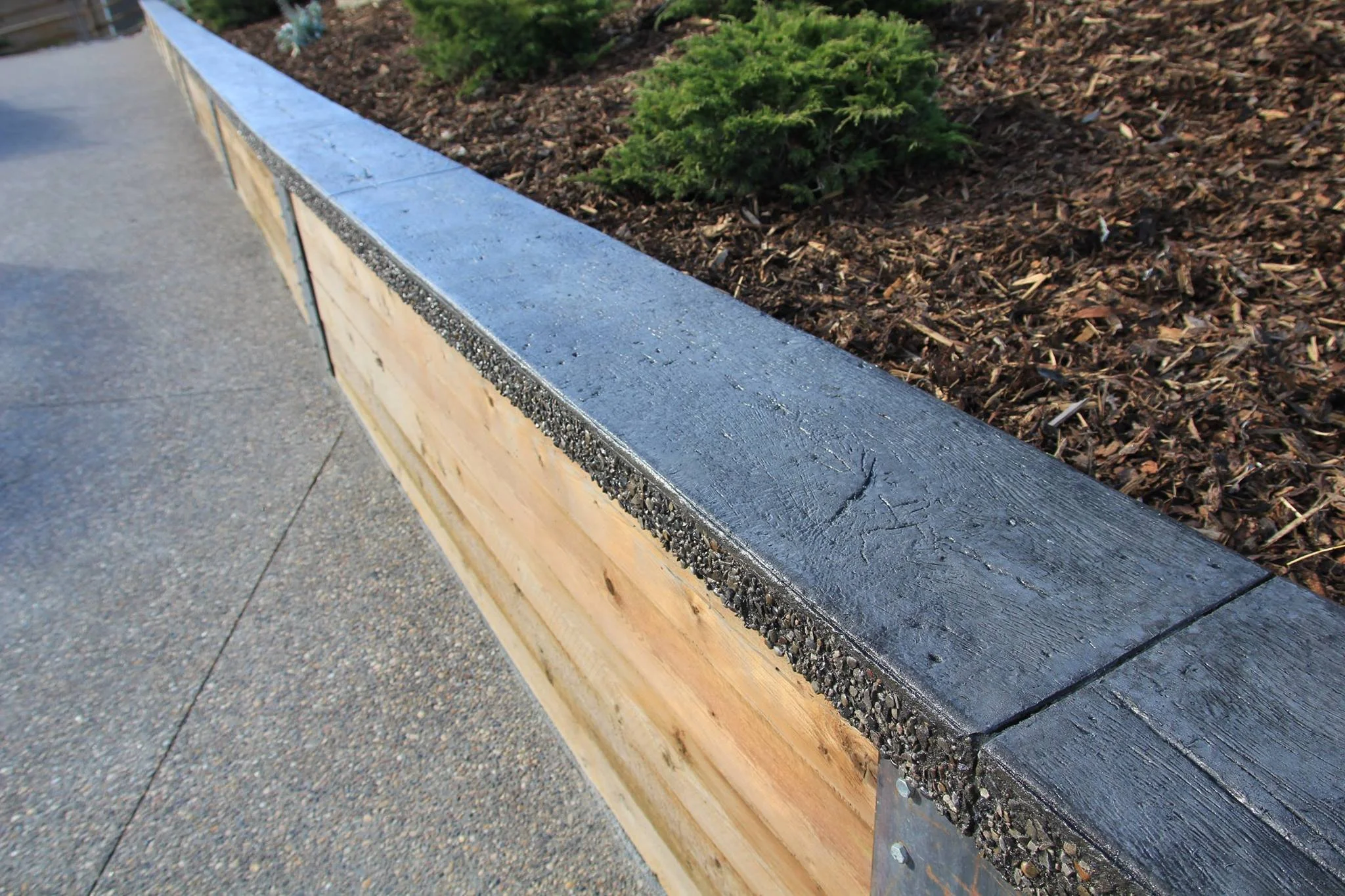 A close-up of a concrete curb with a rough textured surface, next to a flower bed filled with dark mulch and green plants.