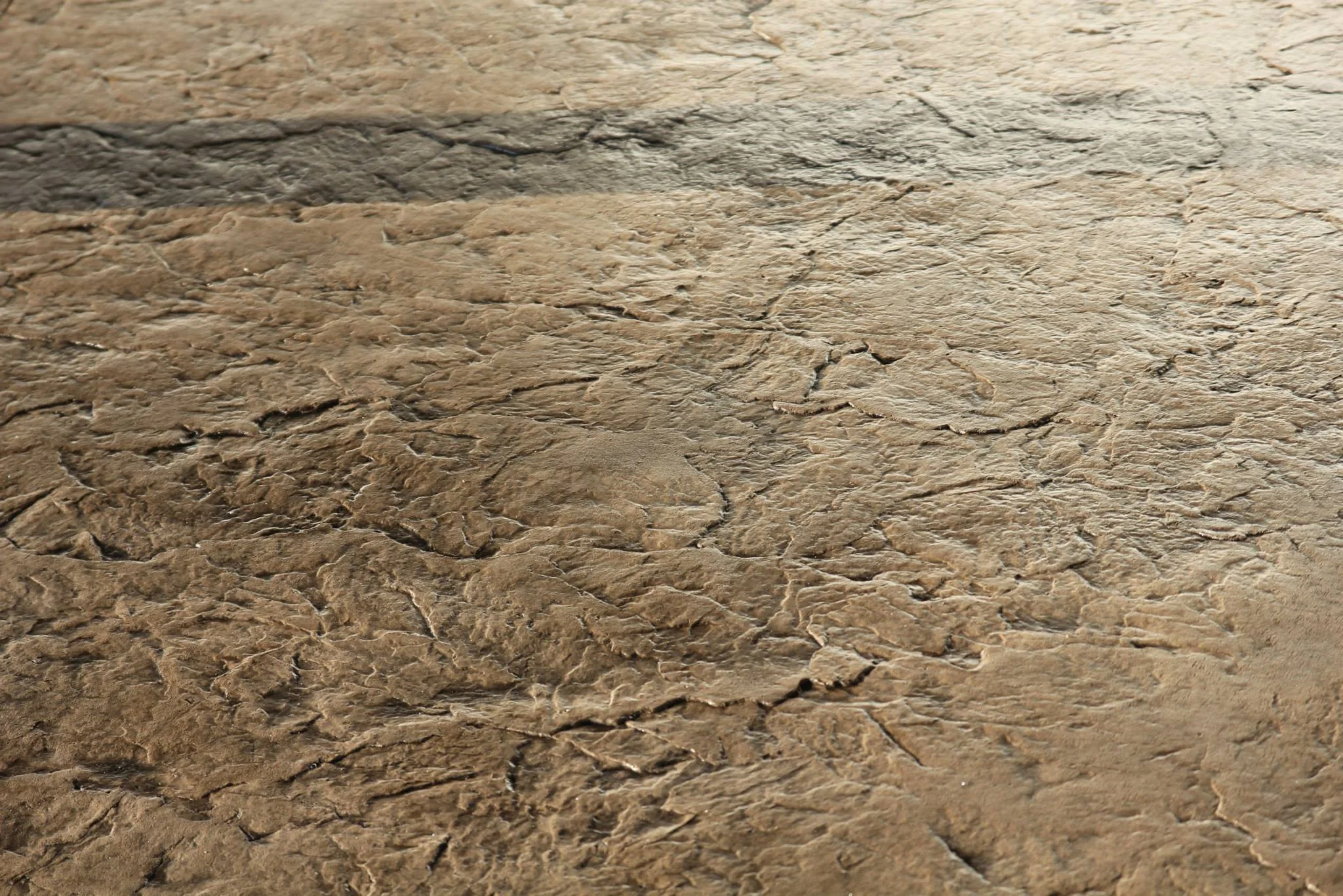 Close-up image of a textured, cracked brown stone or rock surface.