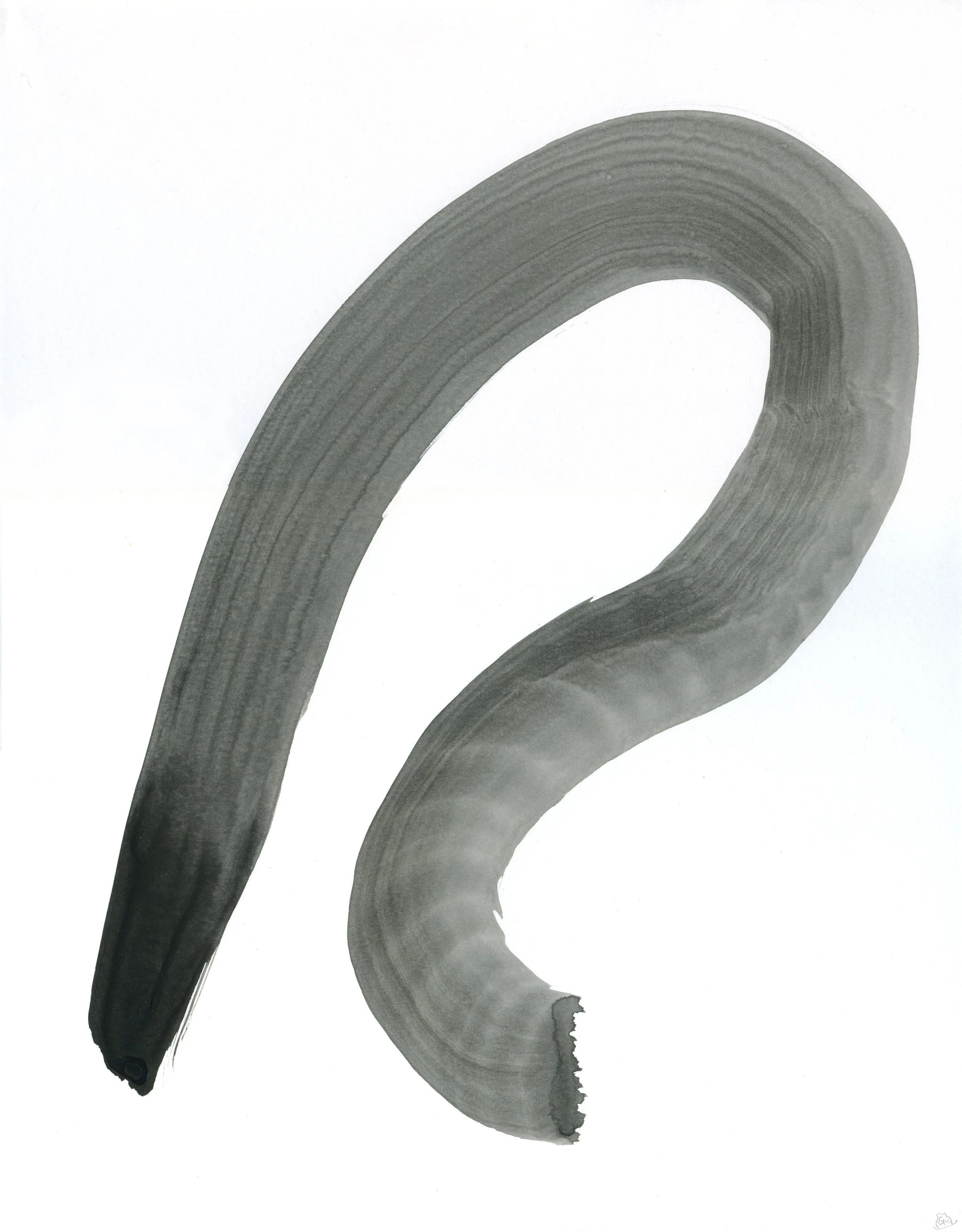 Ink Form 5 / 2019 / Sumi Ink on Paper / 14x11 Inches