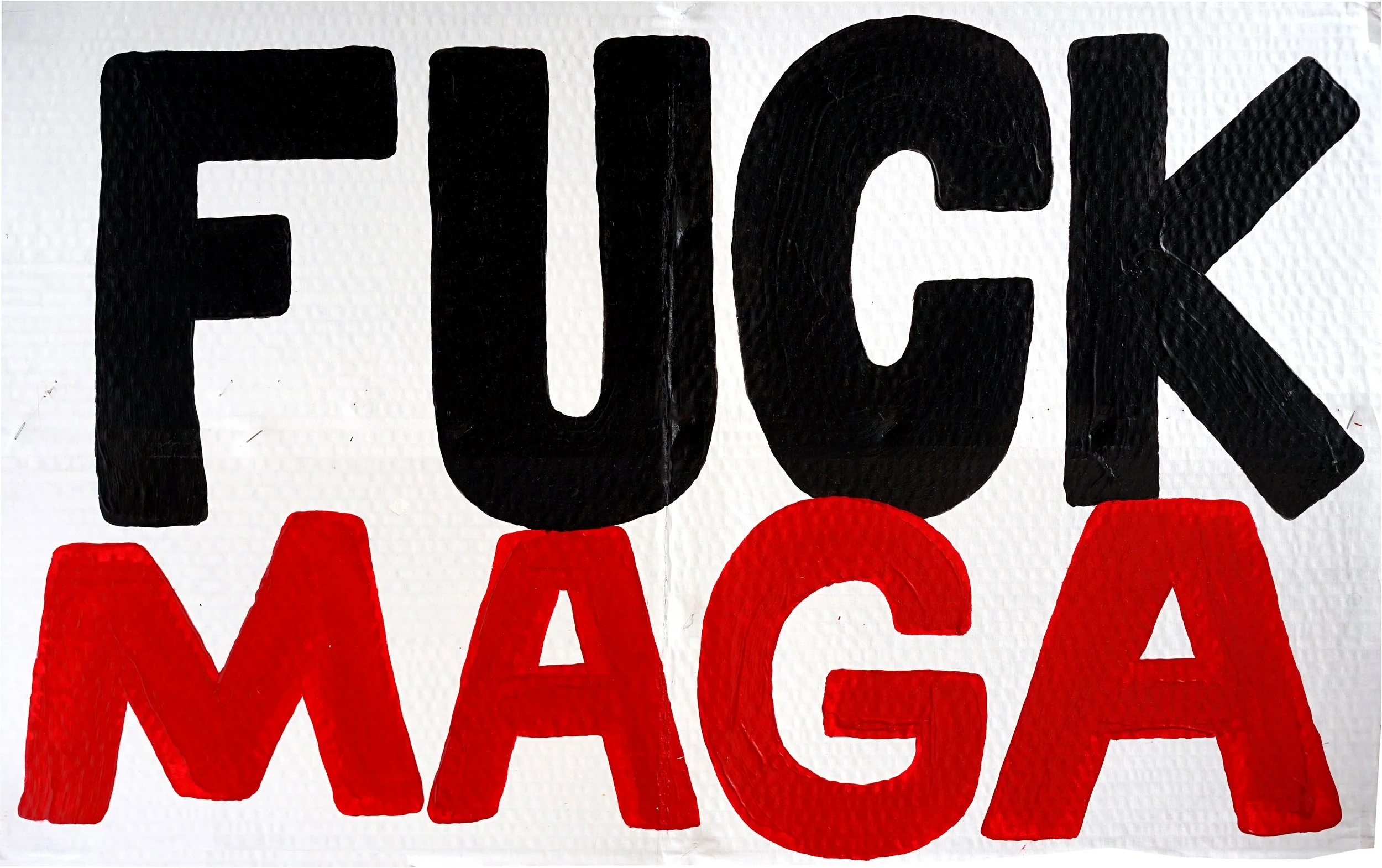 Protest Sign / 2025 / Acrylic & Sumi Ink on Cardboard / 20.5x32.5 Inches