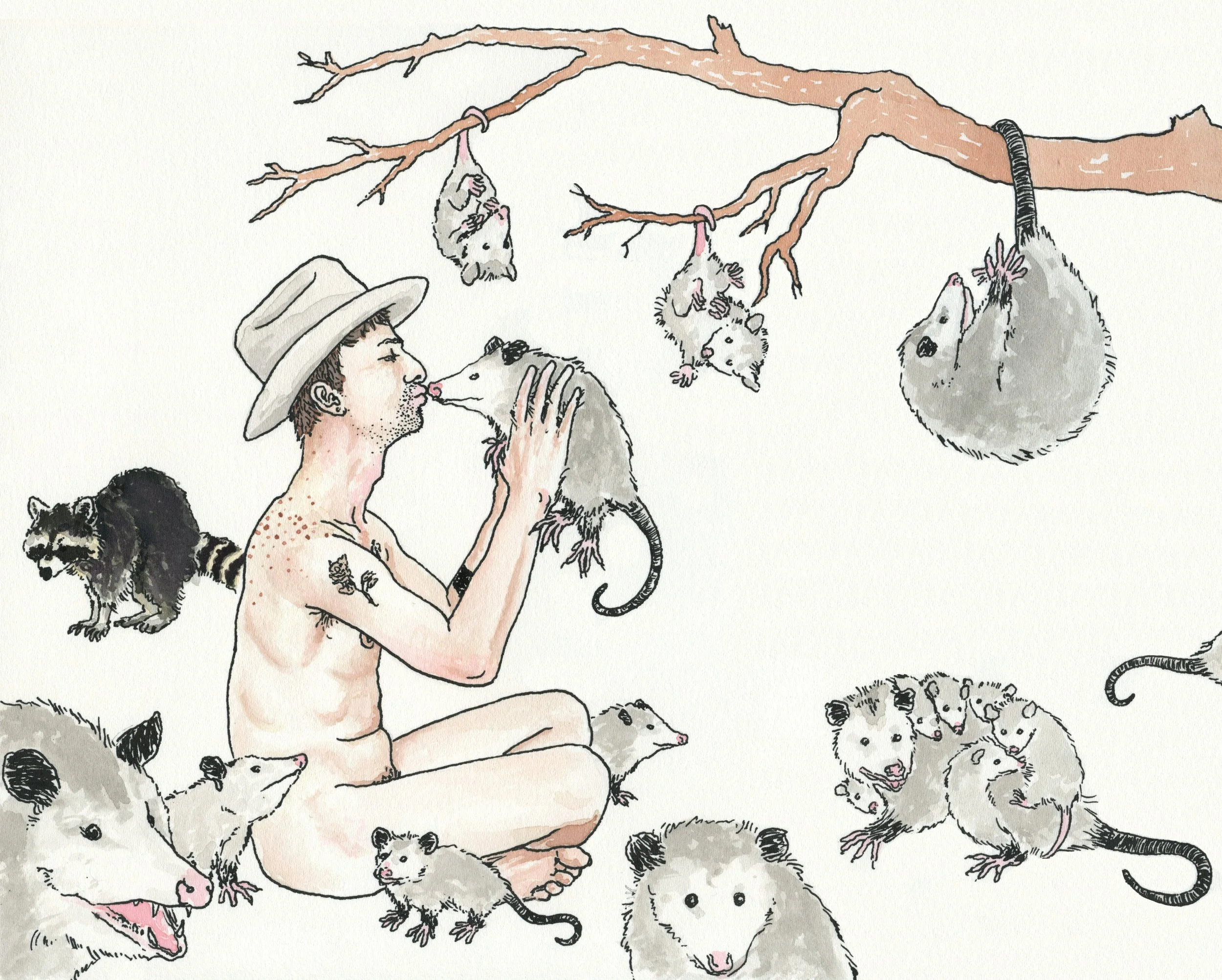 Opossum Kisser / 2021 / Sumi Ink & Watercolor on Paper / 8x10 Inches