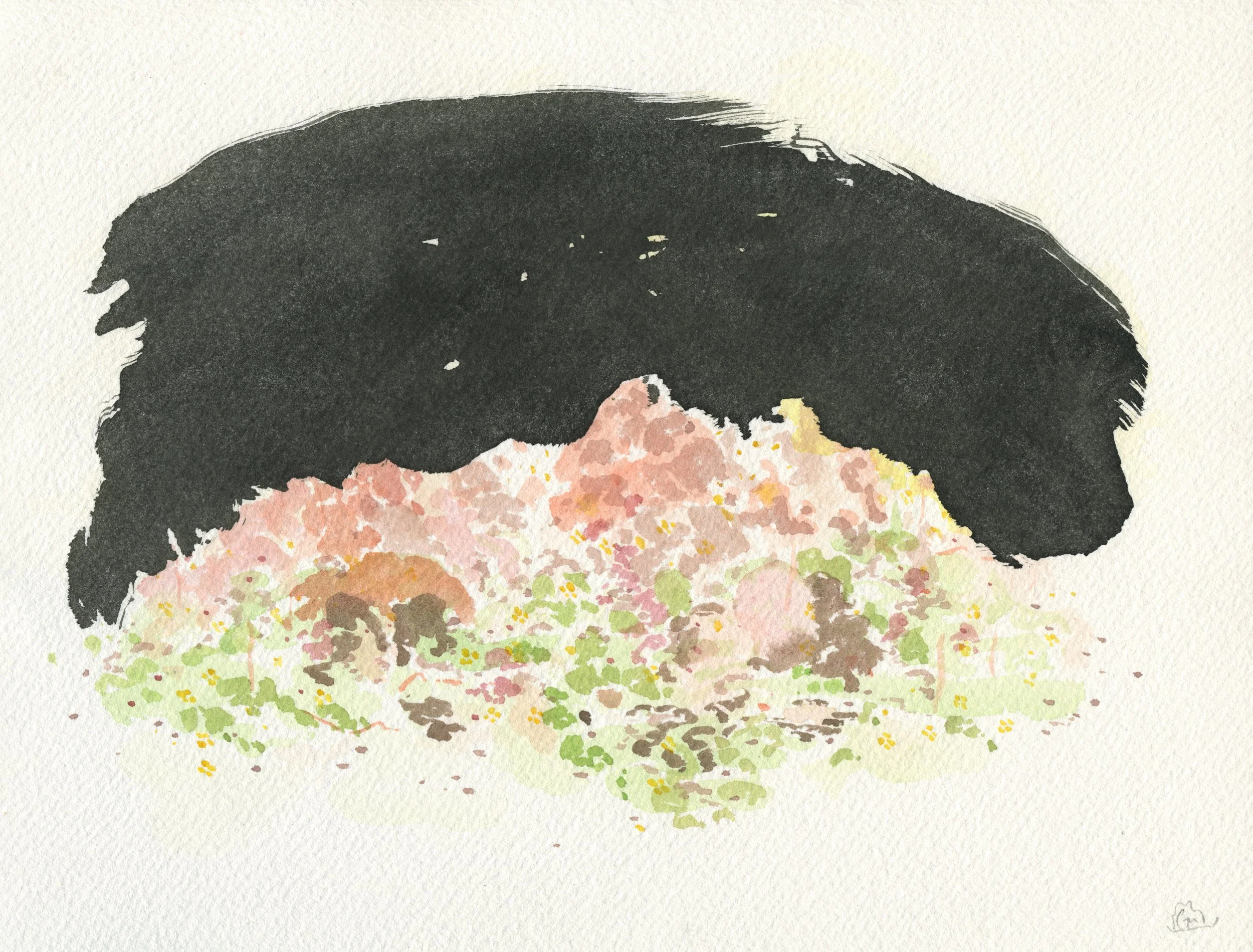 I Drove All Night / 2020 / Sumi Ink & Watercolor on Paper / 7.5x10 Inches