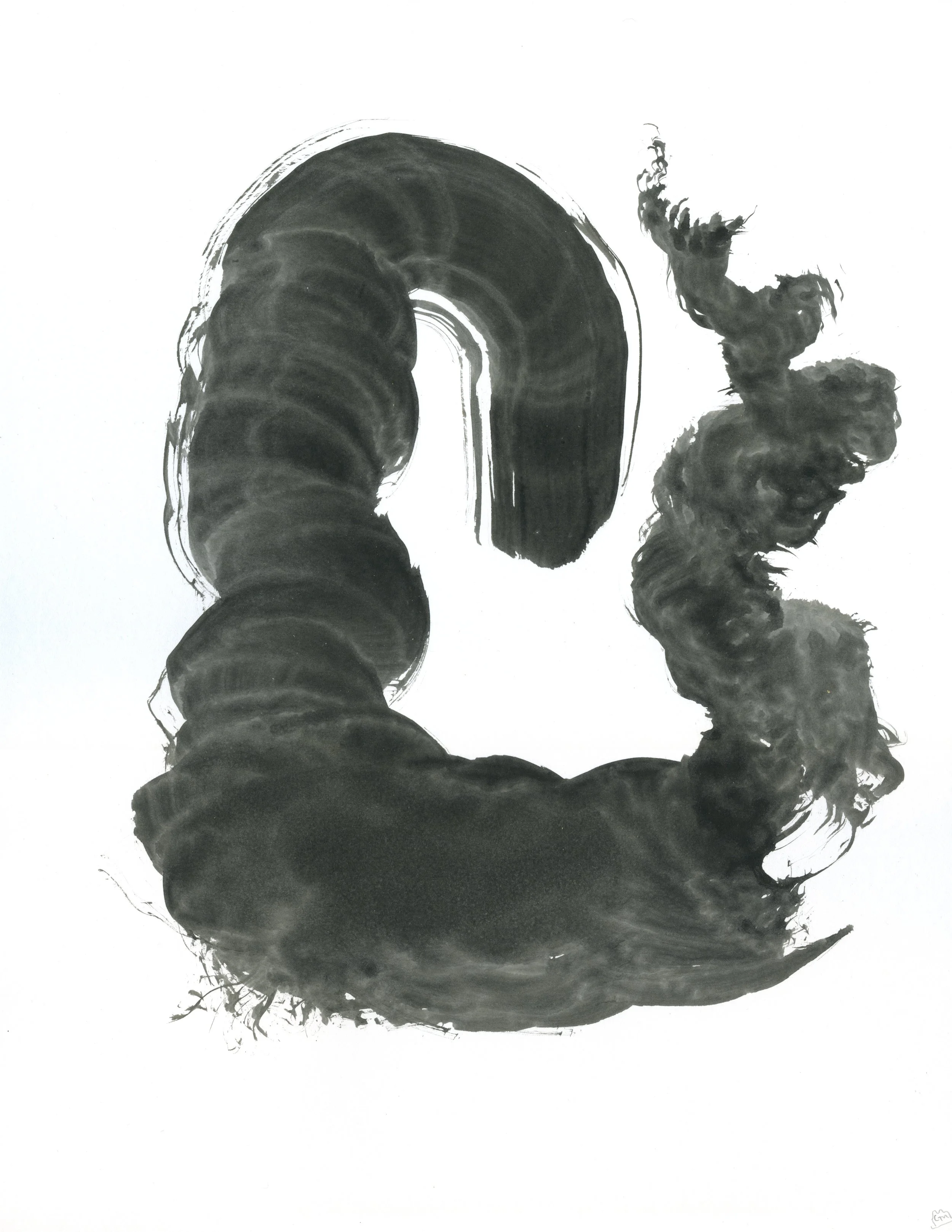 Ink Form 9 / 2019 / Sumi Ink on Paper / 14x11 Inches