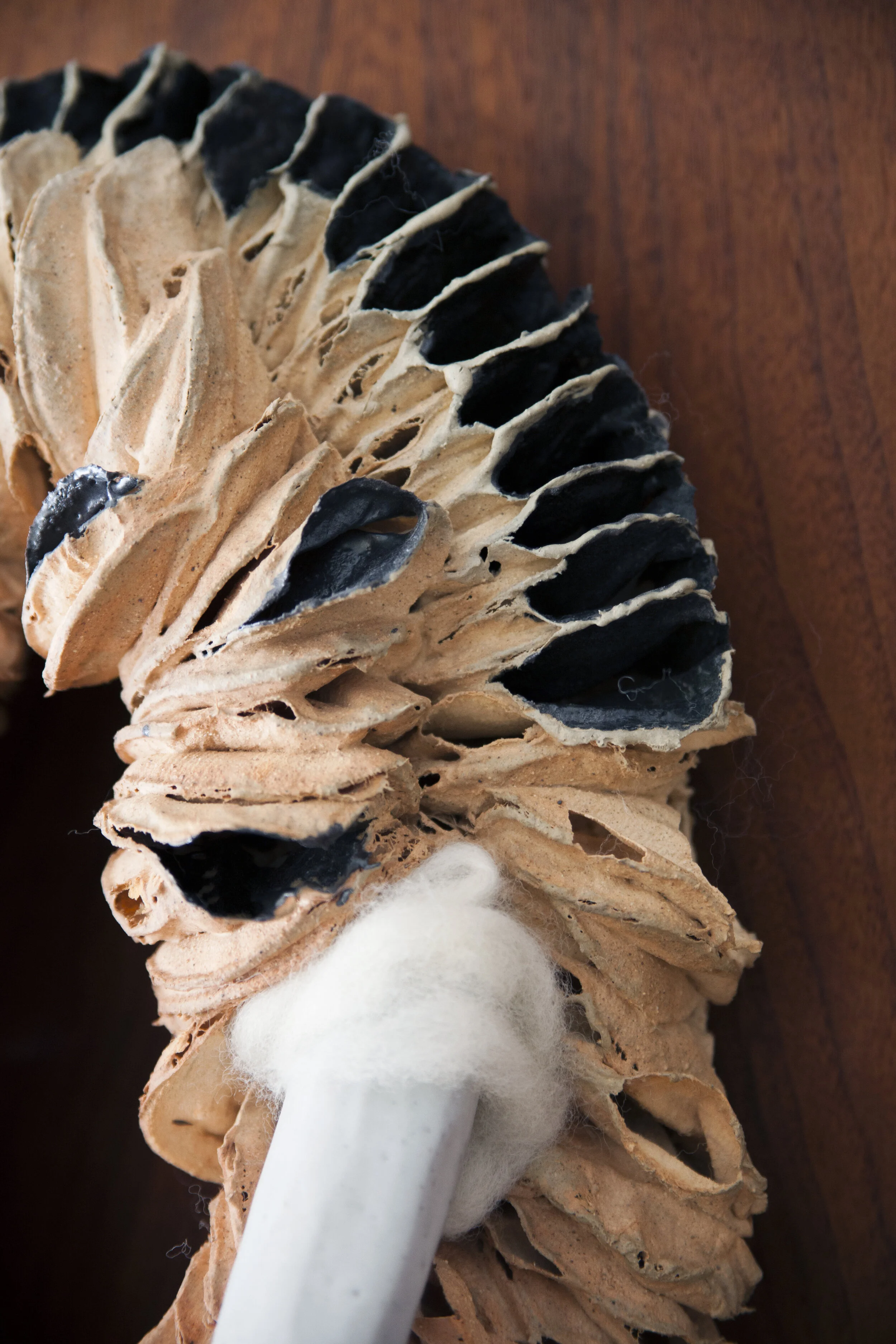 Bitch detail , 32x18x8, ceramic, burnt out cosmetic pads, wool, dog jawbone