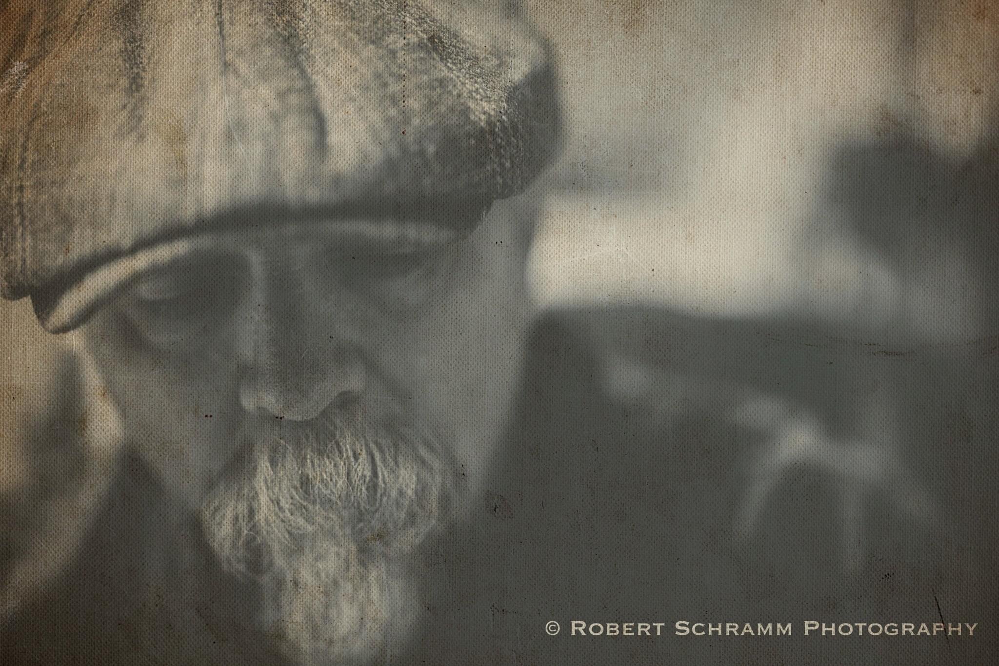 Introduction to the owner….