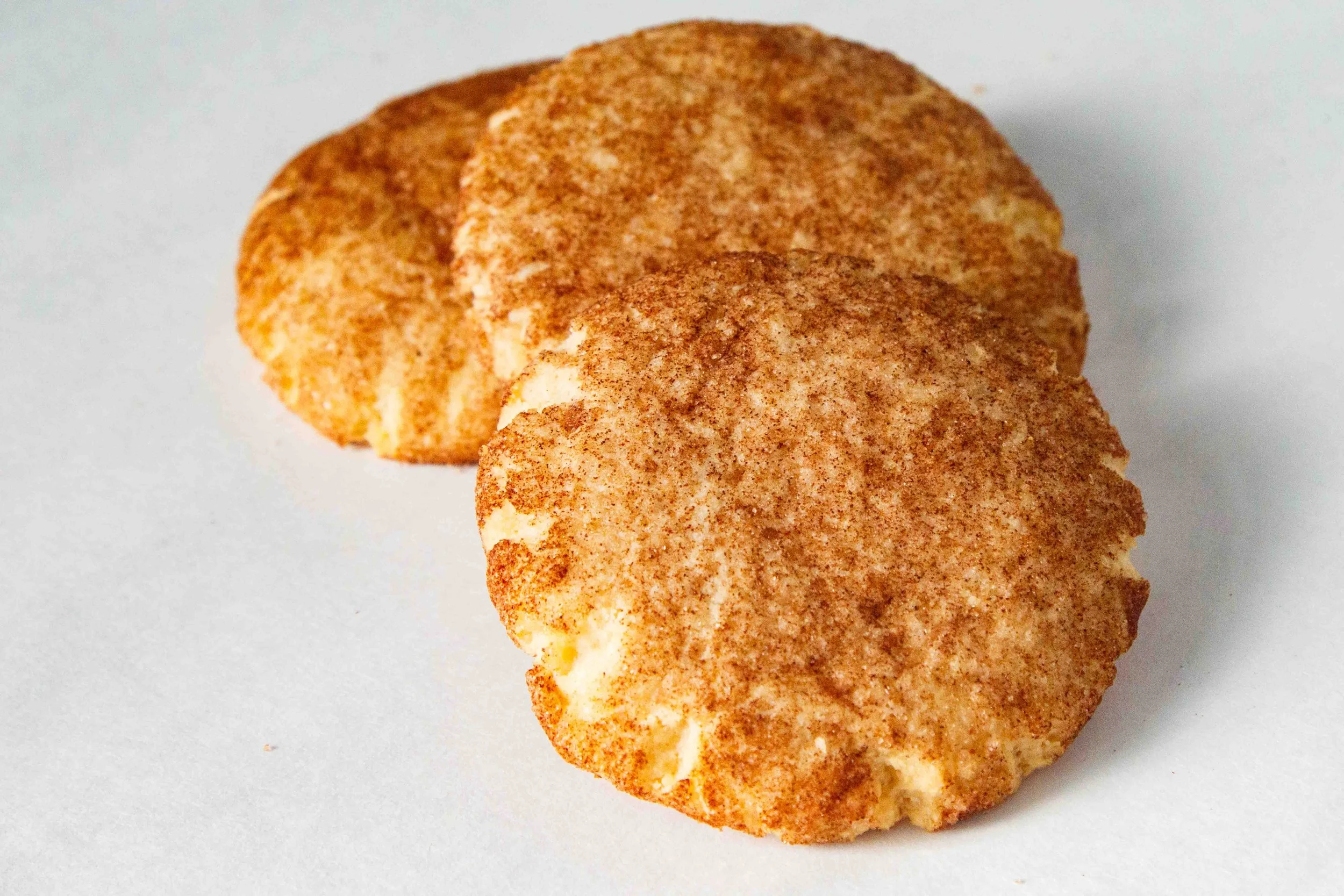 Snickerdoodle-9505.jpg