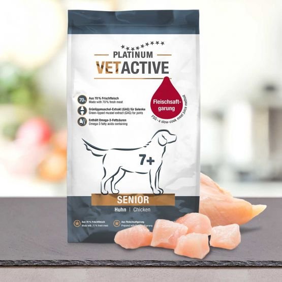 PLATINUM Vetactive Senior hundefoder