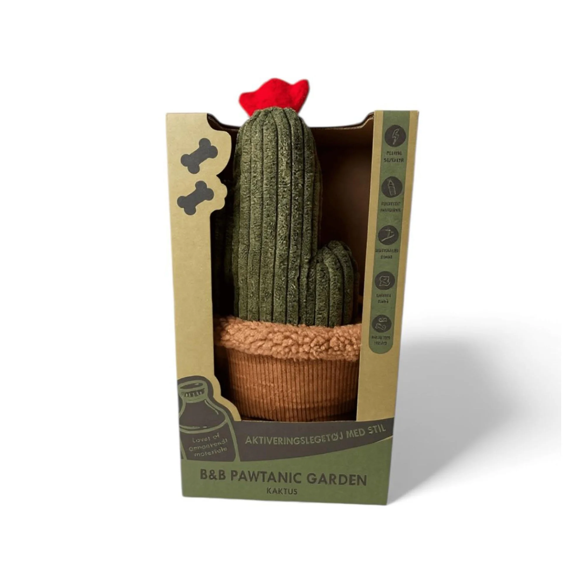 Kaktus i æske.jpeg