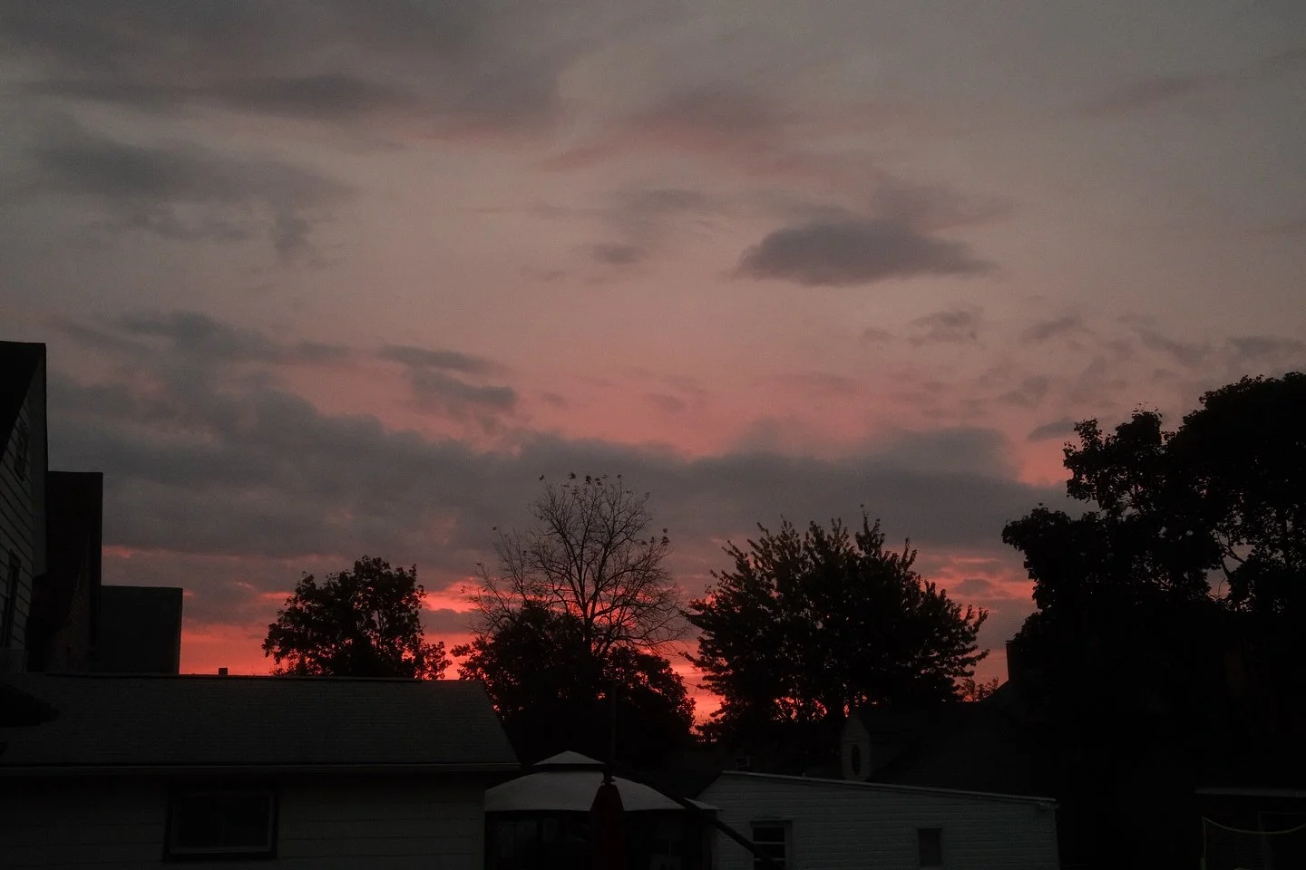 Fire in the sky
#cle #sunrise #cleveland #brooklyncentre #ohio #sooc #forestcitycollective #clevelandphotographer