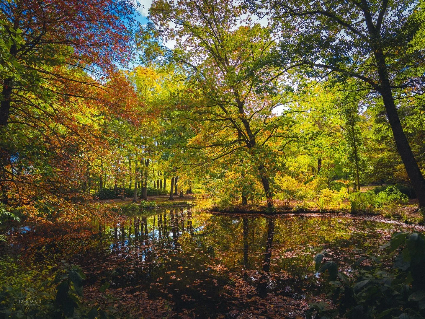 Calming woods
#fallinohio #ohio #holdenarboretum #fall #fallcolors #forestbathing #clevelandphotographer #forestcitycollective