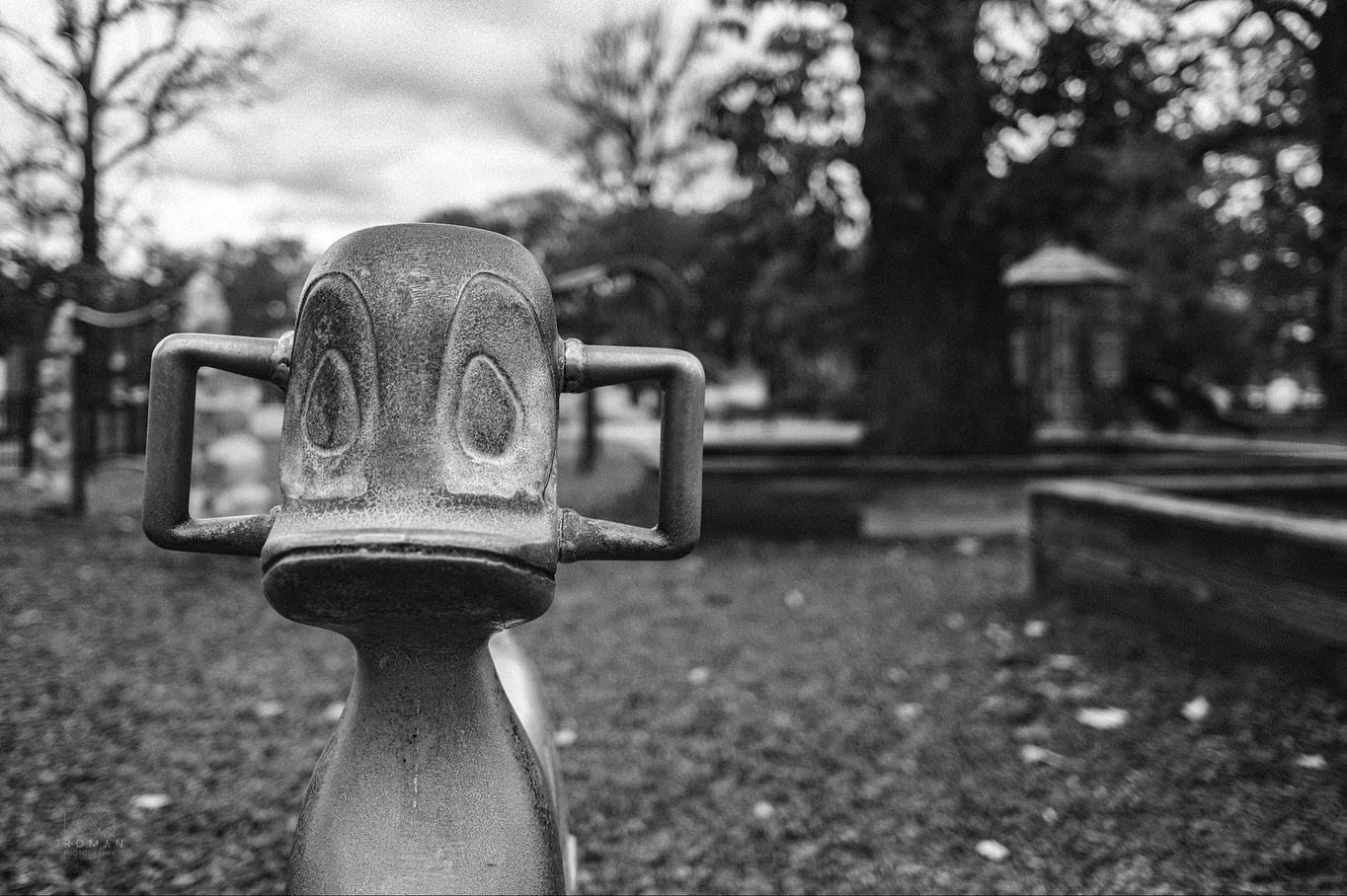 No fun
#blackandwhite #playground #liminal #spooky #october #lakewoodpark #ohio #lakewood #empty #cold #clevelandphotographer #forestcitycollective