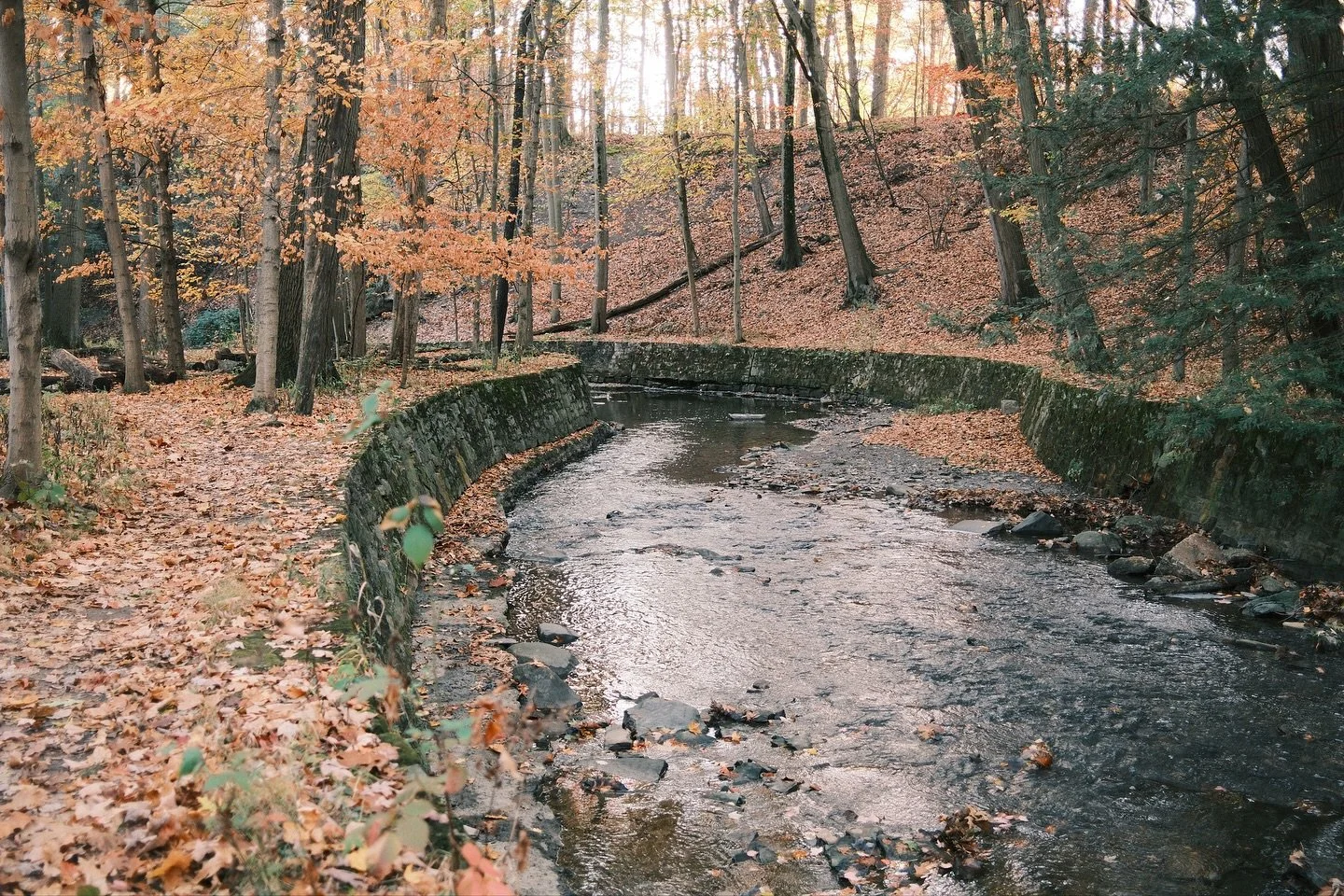 Beautiful morning walk through the @clevemetroparks Huntington Beach Reservation with the @yapoutyonder group.