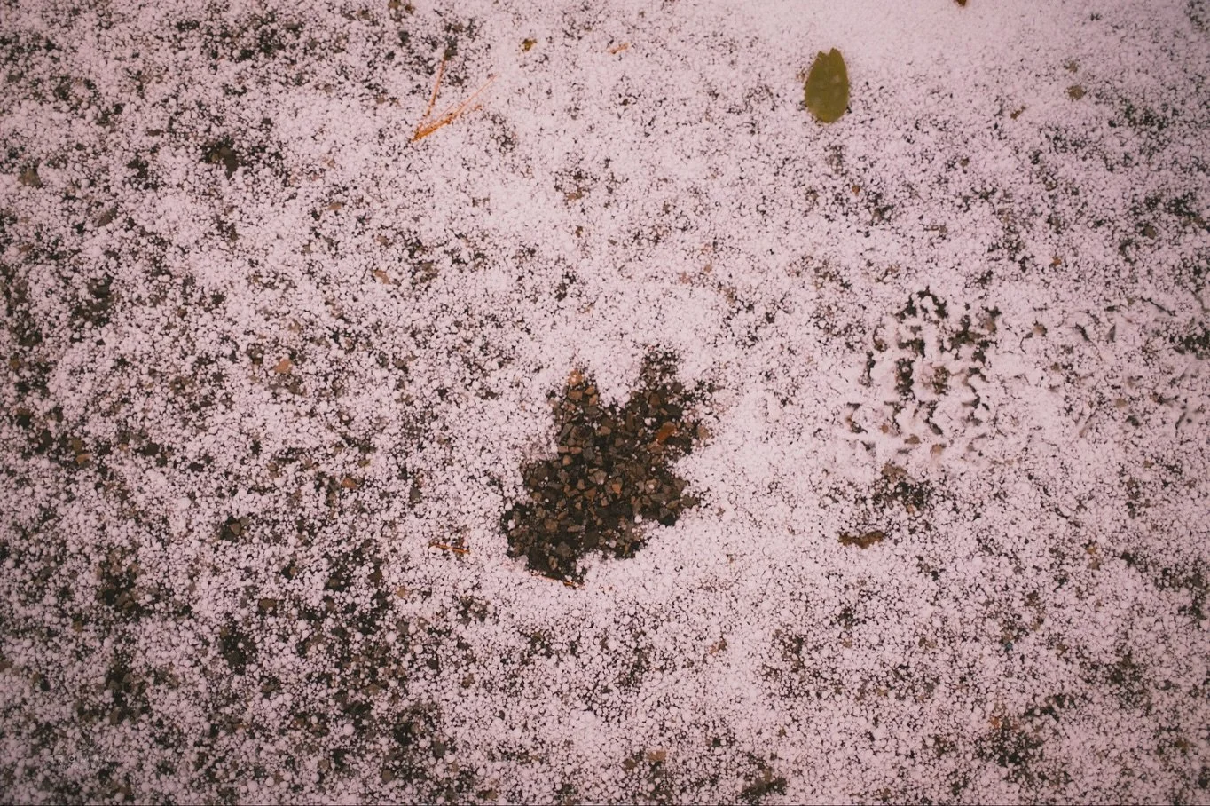 It seems winter has arrived. So here&rsquo;s some prerequisite pictures of &ldquo;snow&rdquo;.