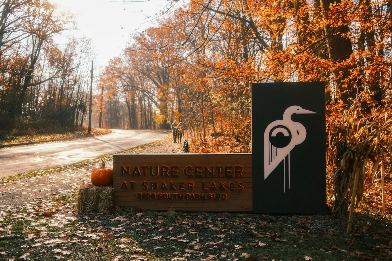 Views from yesterday&rsquo;s morning walk with the @yapoutyonder crew