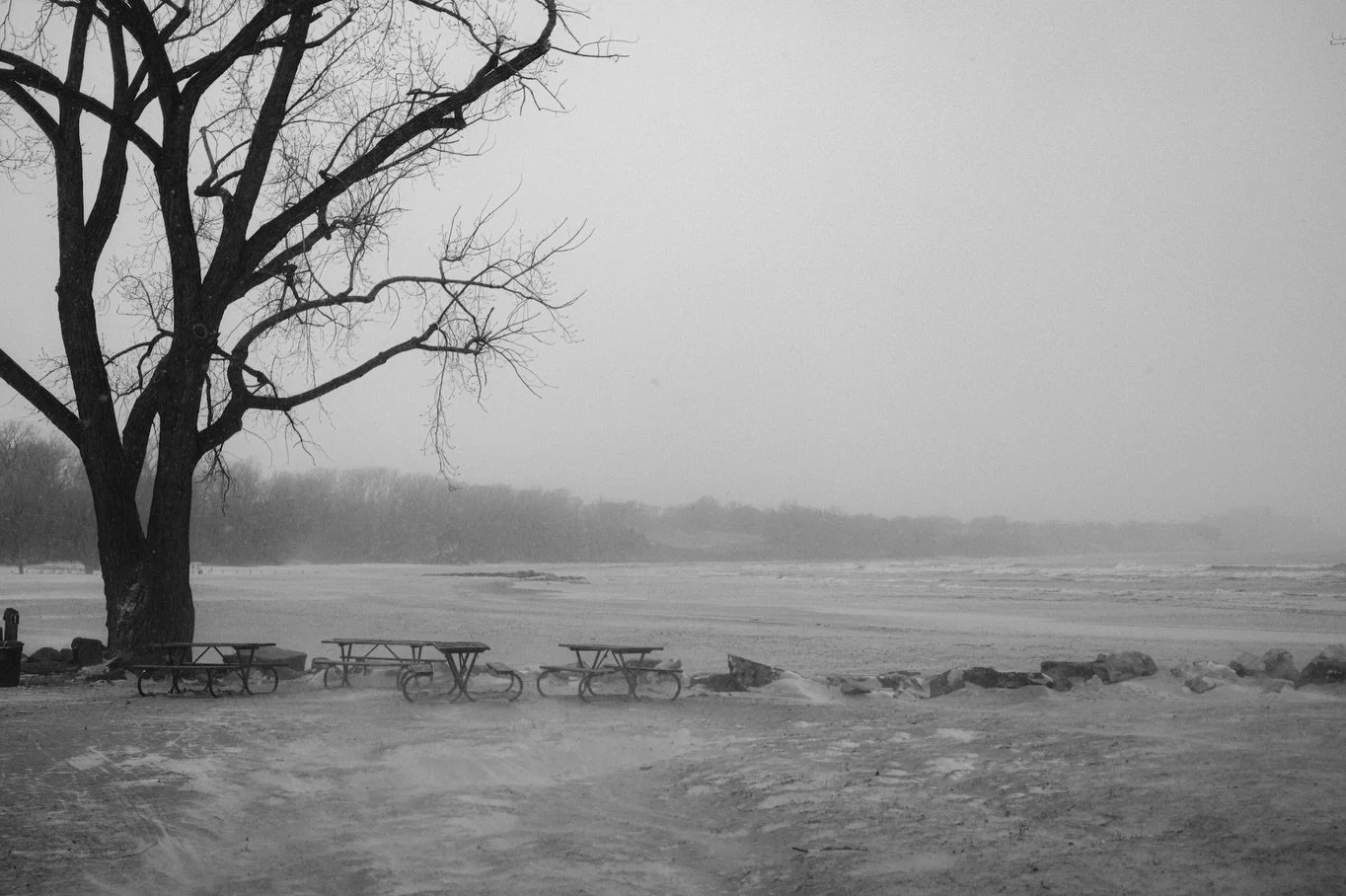 A little midweek monochrome