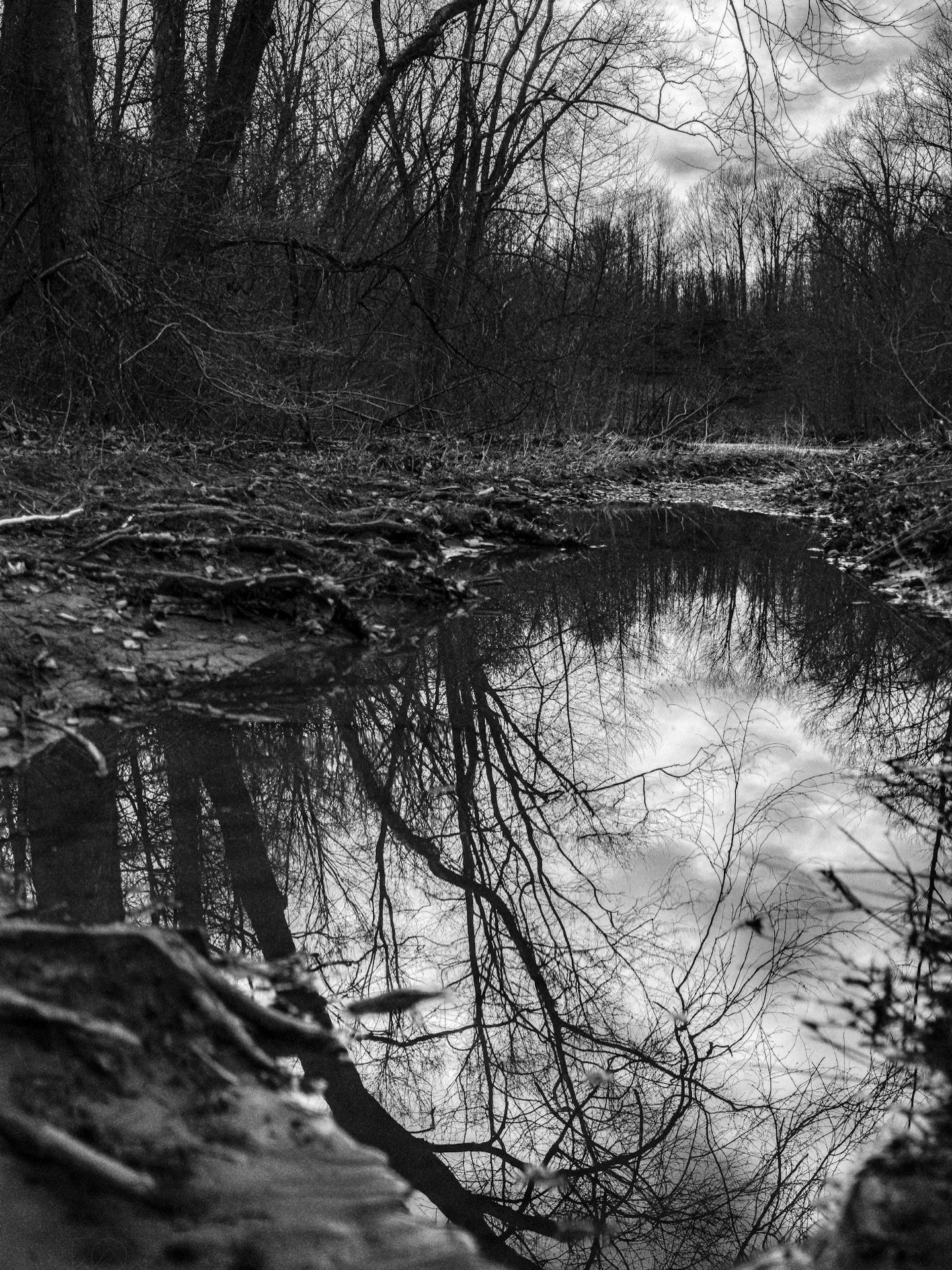 Mirror in the woods
#blackandwhite #monochrome #reflection #forestcitycollective #thelandunfiltered