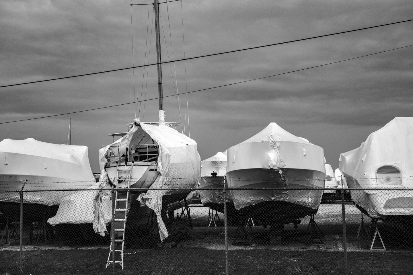 Broken seal
#blackandwhite #monochrome #forestcitycollective #thelandunfiltered #fujifeed