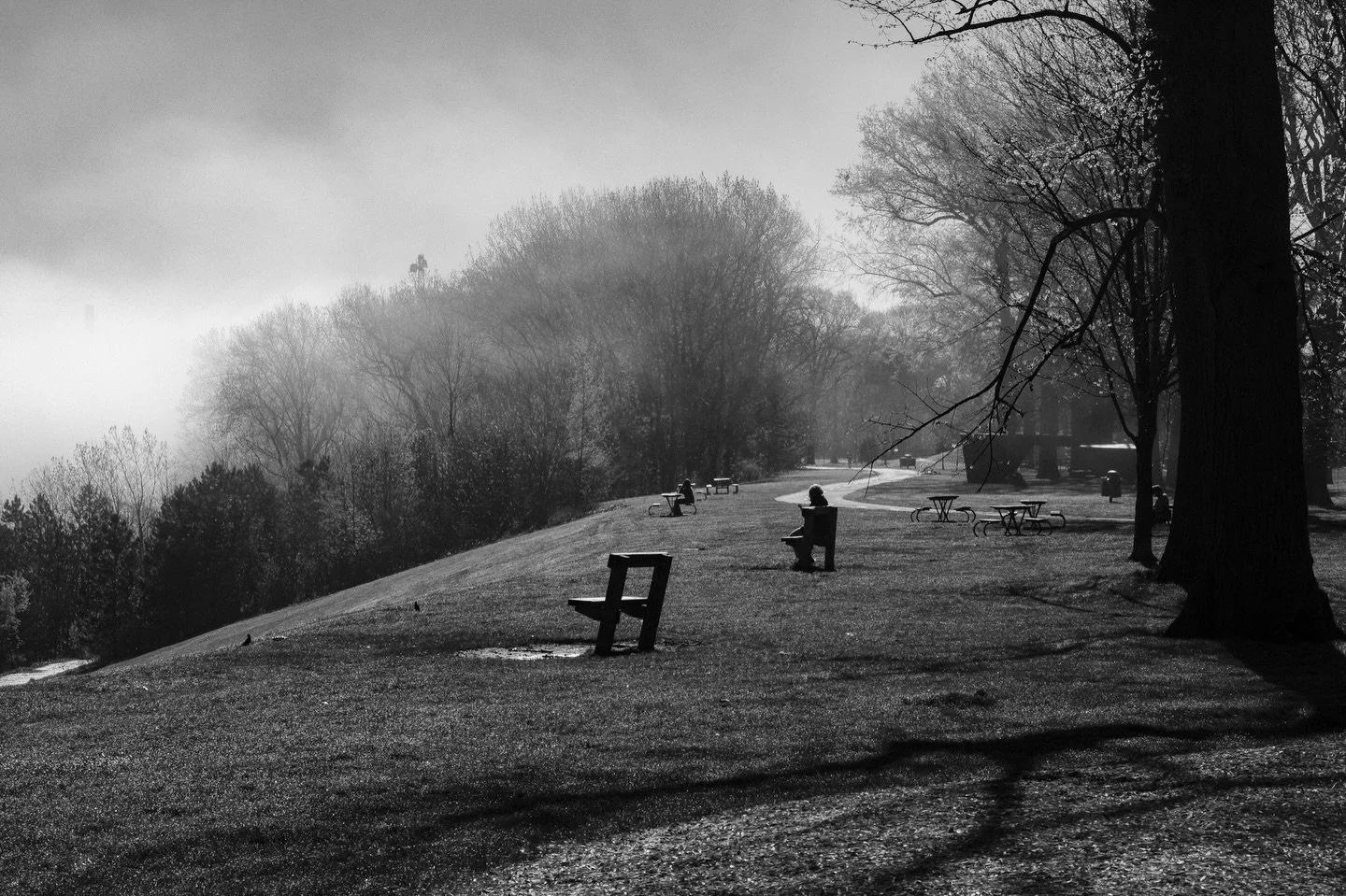 Silhouettes and shadows
#blackandwhite #monochrome #fog #thelandunfiltered #forestcitycollective