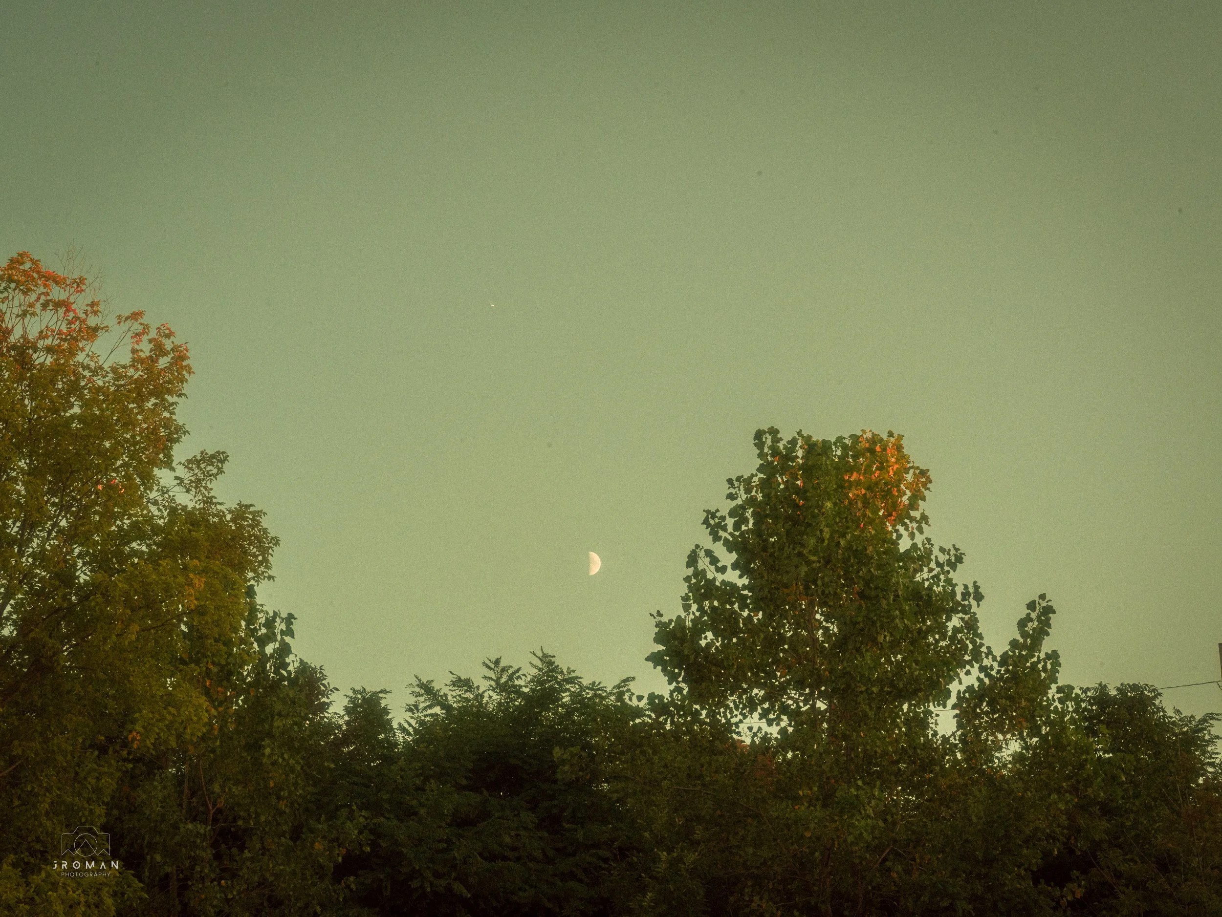Night sky with visible moon crescent and Venus, with trees in the foreground.