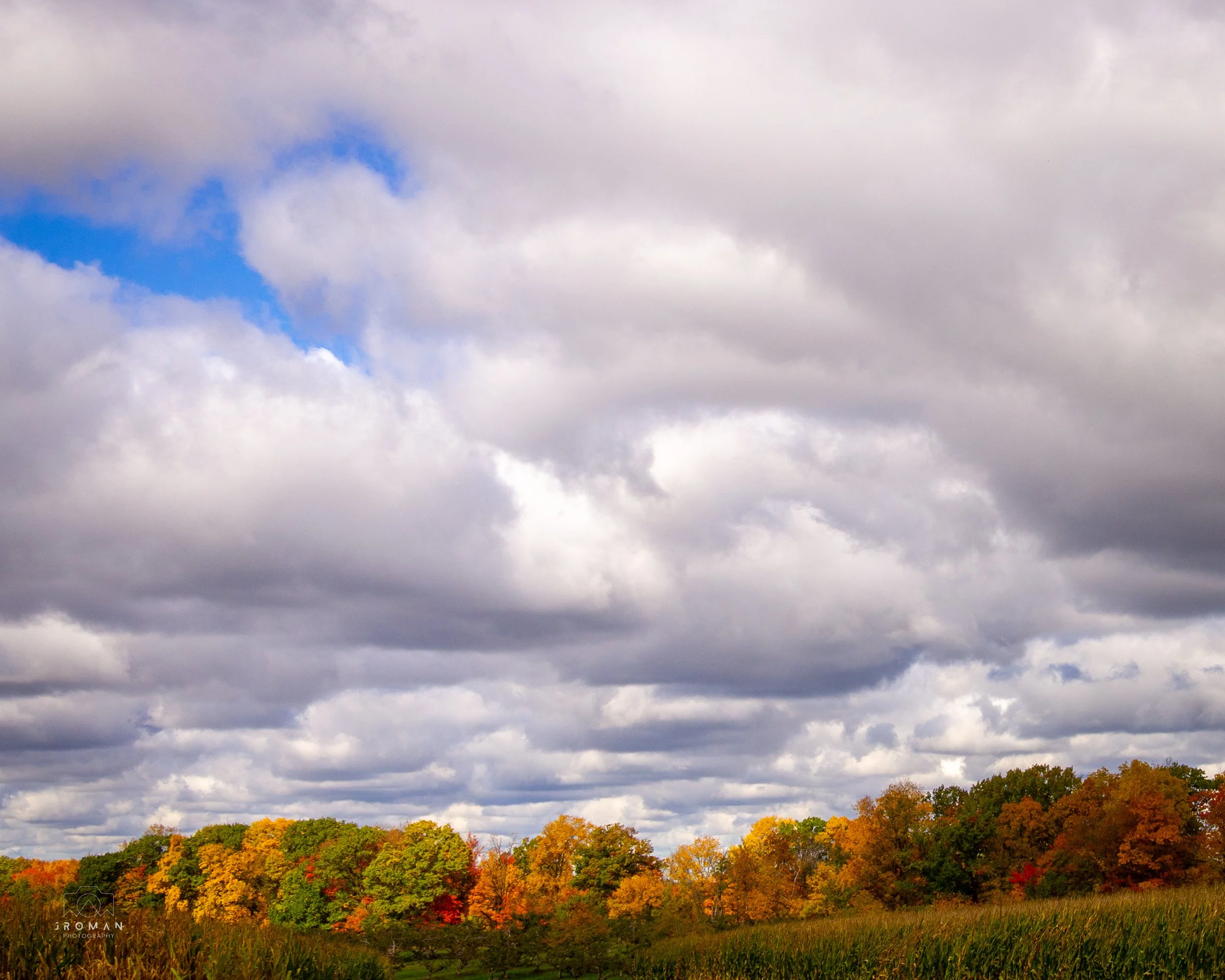 Overcast sky with patches of blue and a landscape of colorful autumn trees with green, yellow, orange, and red foliage and tall grass in the foreground.