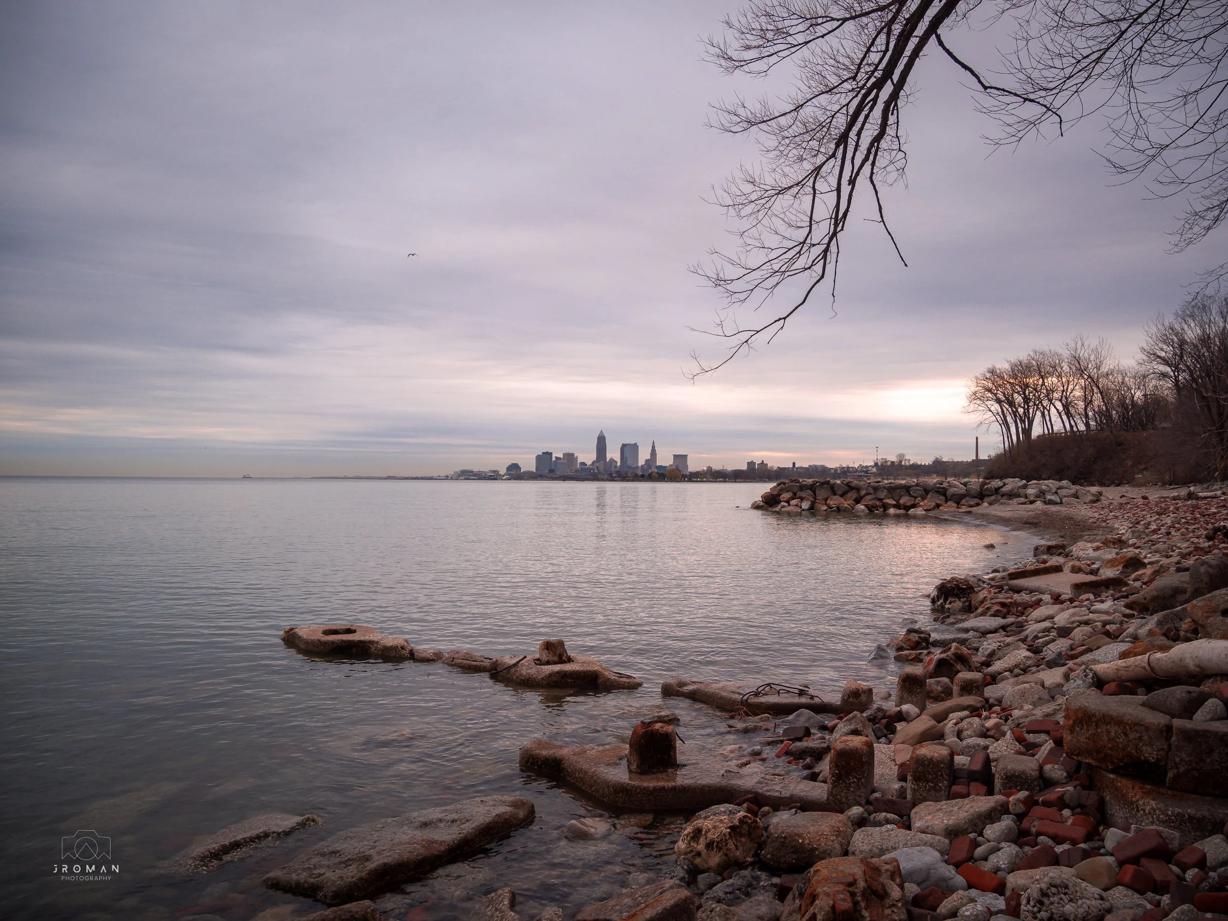 View of a rocky shoreline with trees, overlooking a city skyline under a cloudy sky.