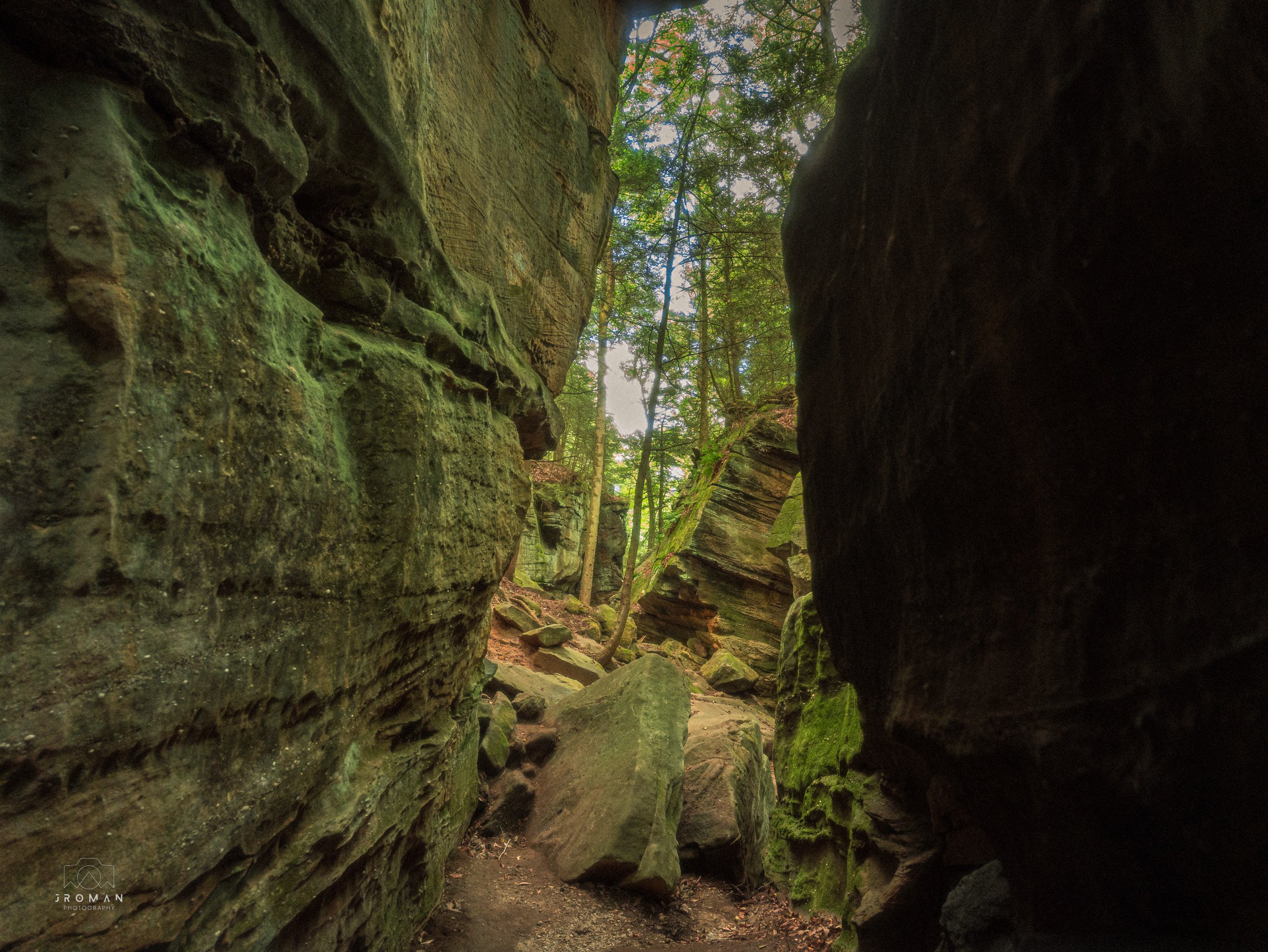 A rocky canyon with moss-covered boulders and large sandstone walls, surrounded by green trees in a forest.