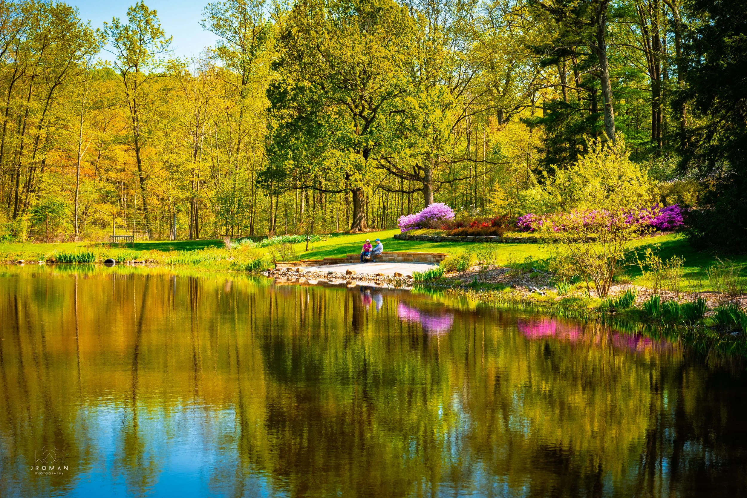 A vibrant park scene with a pond reflecting trees and colorful flowers, two people sitting on the pond's edge, under a lush green canopy on a sunny day.